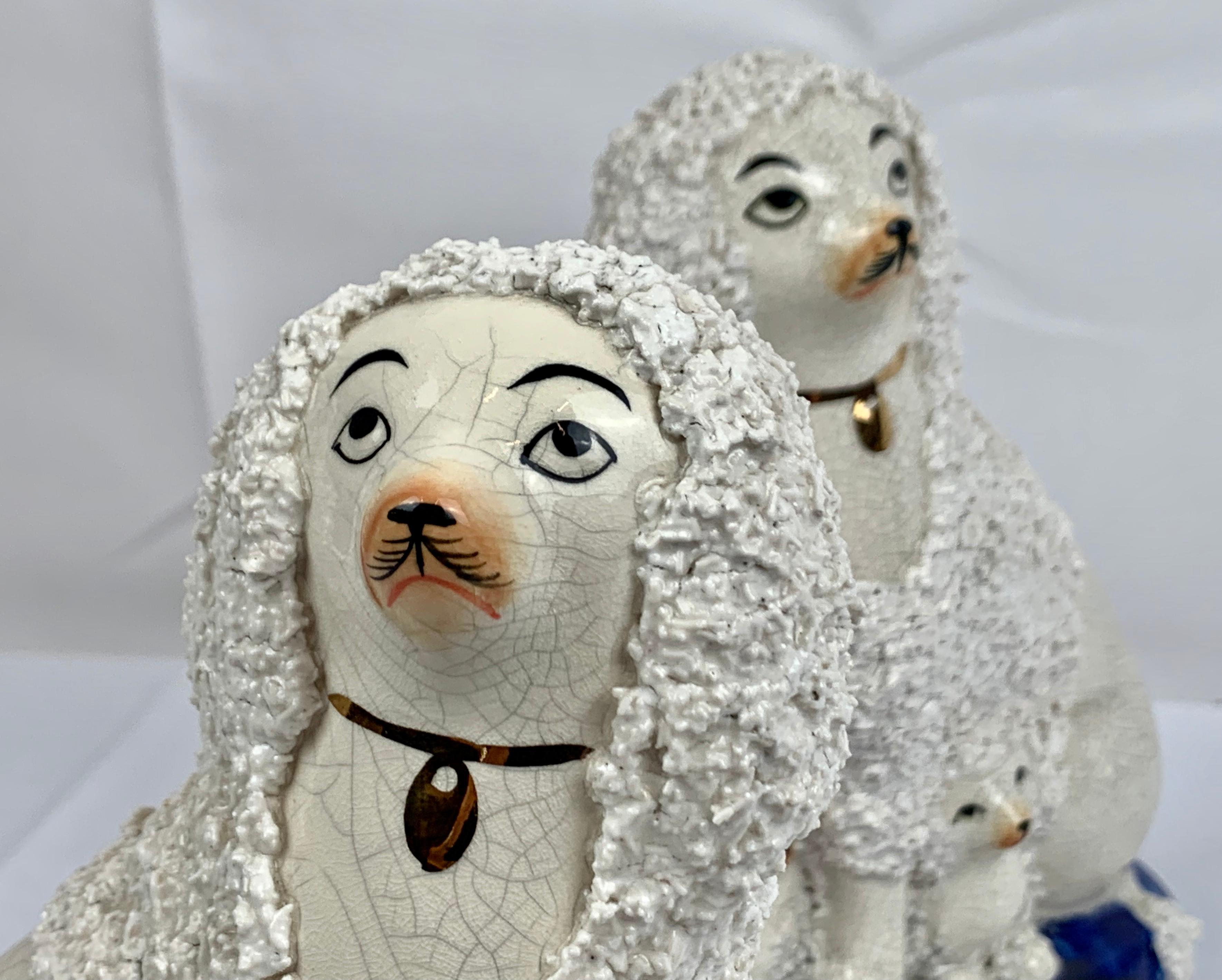 Fired Pair of Staffordshire White Poodles on Cobalt Blue Bases