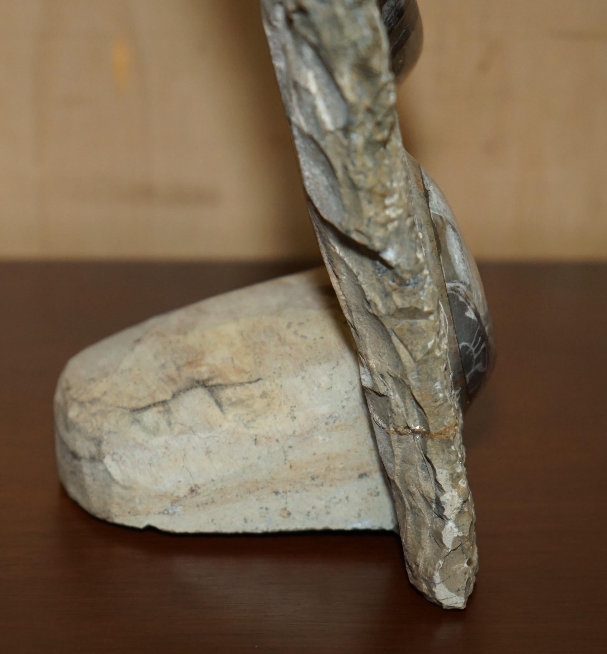 PAIR OF STANDiNG ANCIENT FOSSIL AMMONITE ORTHOCERAS SCULPTURES 53 & 44CM HIGH For Sale 12