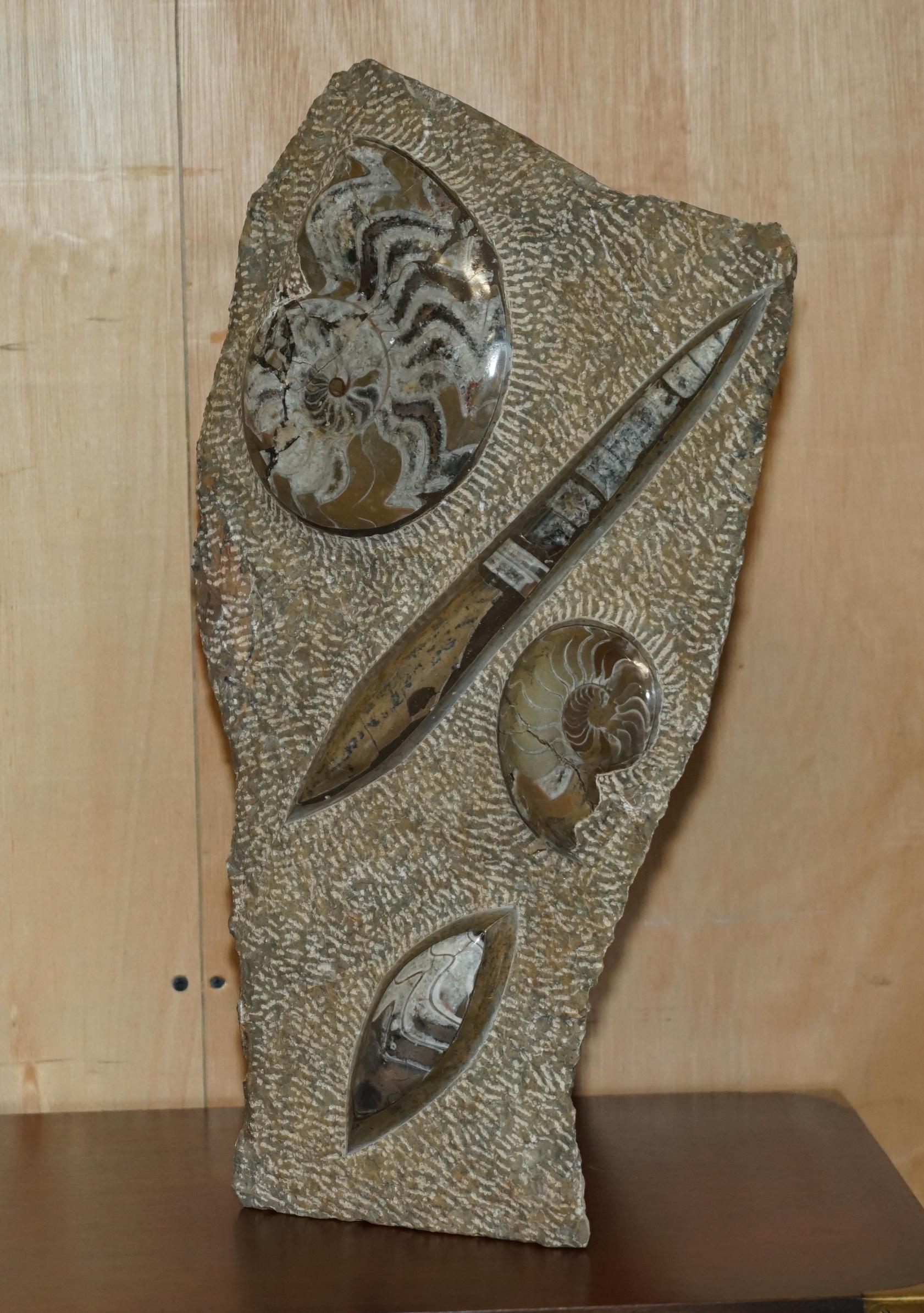 Royal House Antiques

Royal House Antiques is delighted to offer for sale this stunning pair of polished limestone circa 395 million year old standing Fossilized Orthoceras statues

Please note the delivery fee listed is just a guide, it covers