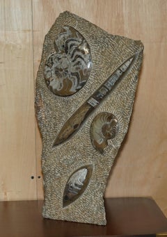COPPIA DI SCULTURE DI ORTOCERTE ANTICHE IN AMMONITE FOSSILE ALTEZZA 53 E 44 cm