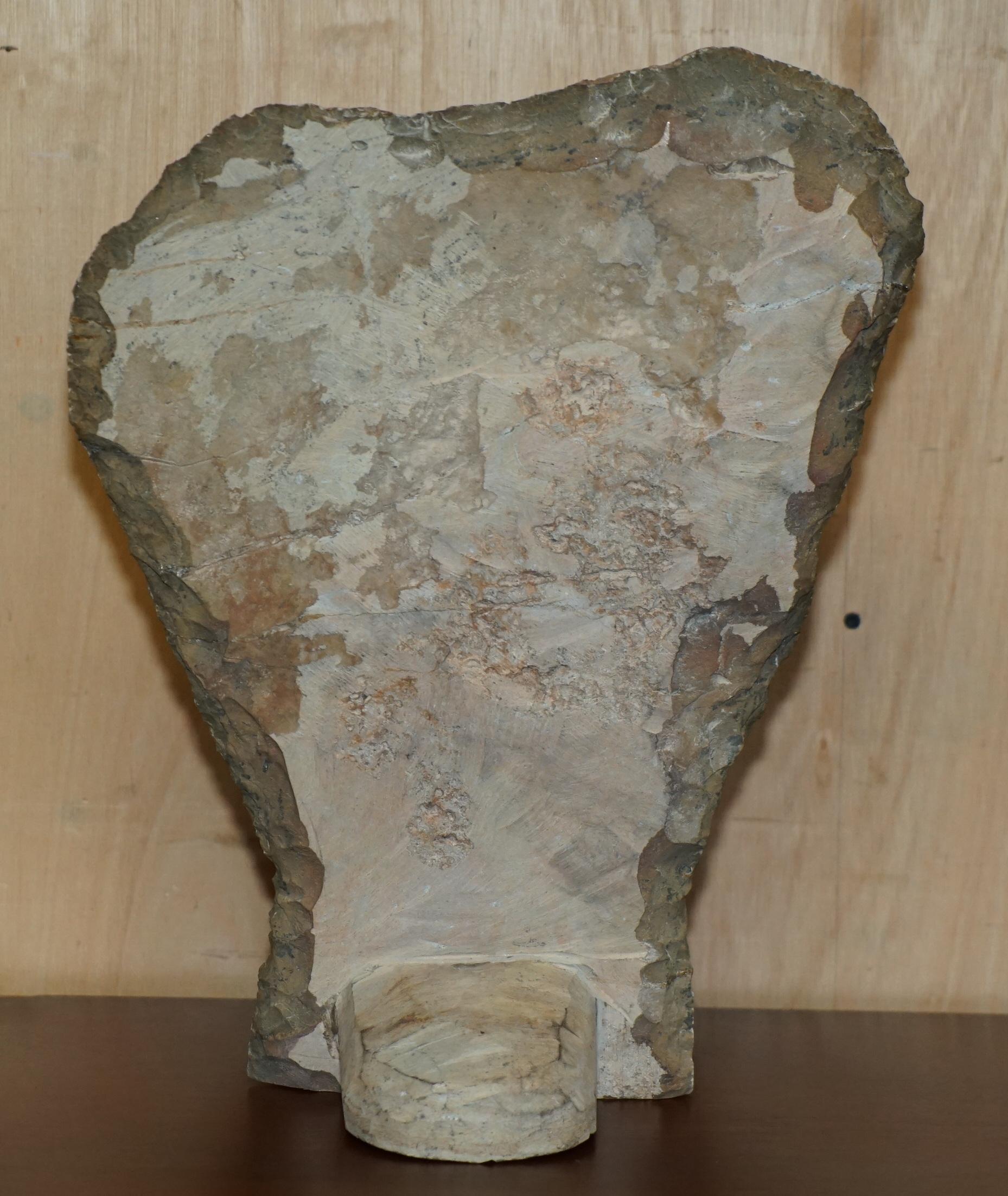 PAIR OF STANDiNG ANCIENT FOSSIL AMMONITE ORTHOCERAS SCULPTURES 53 & 44CM HIGH For Sale 13