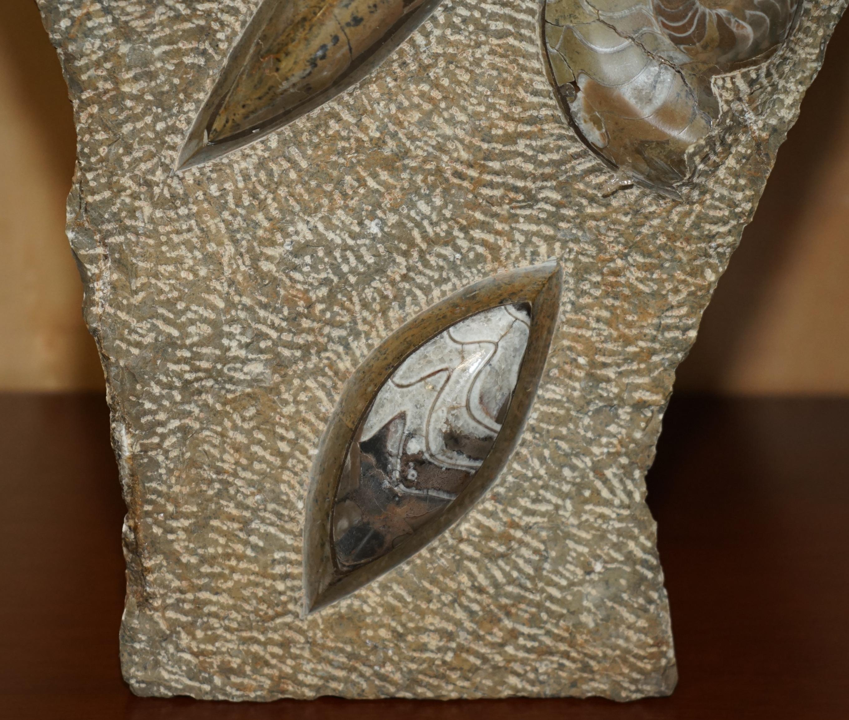 Stone PAIR OF STANDiNG ANCIENT FOSSIL AMMONITE ORTHOCERAS SCULPTURES 53 & 44CM HIGH For Sale