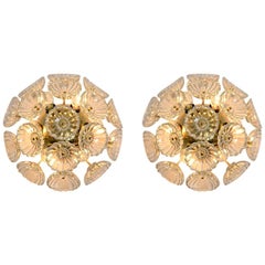 Pair of Starbust Sputnik Glass Flower Wall Lights
