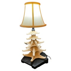 Pair of Starfish Lamps