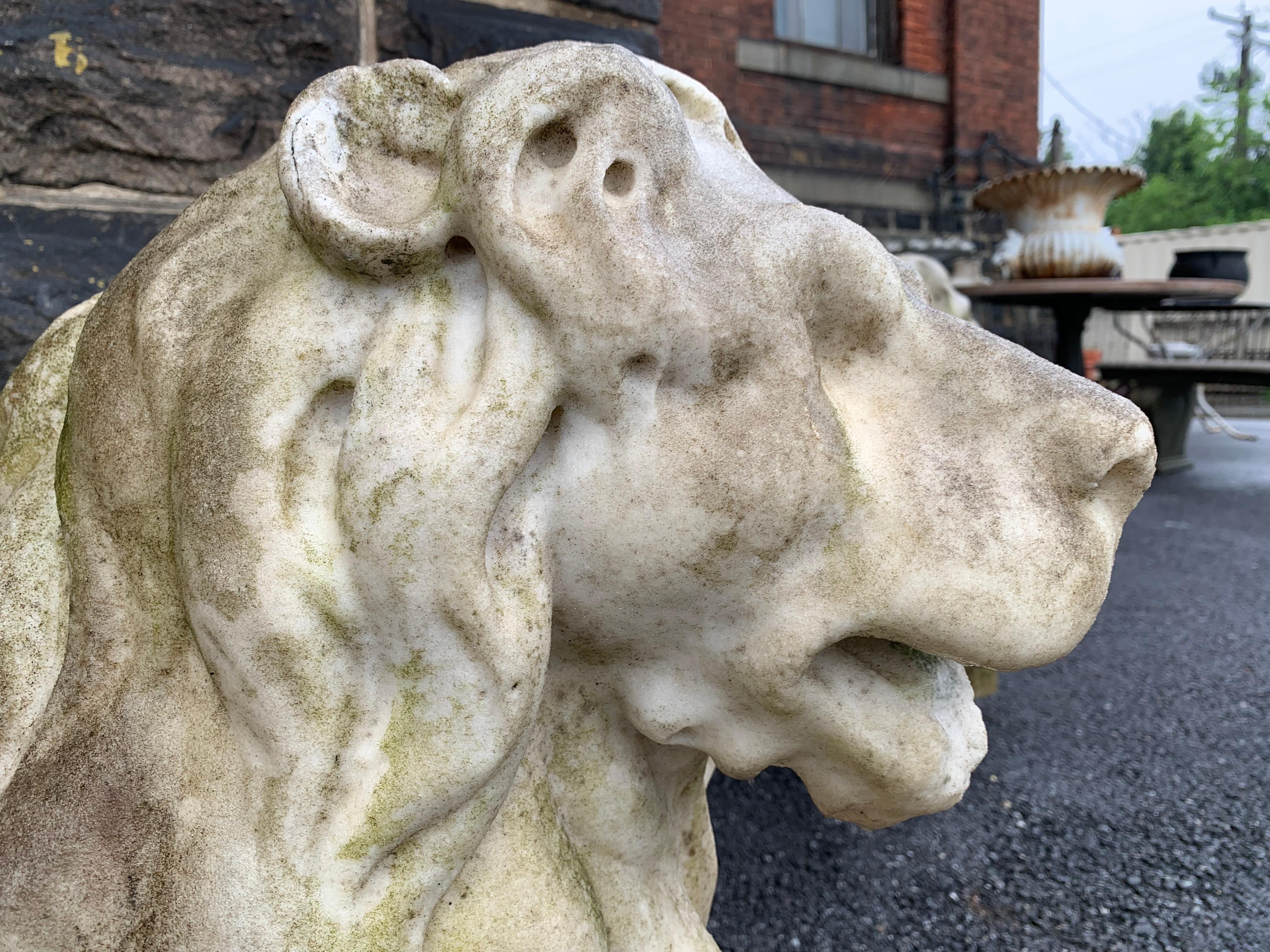 Pareja de Leones Estatuarios de Mármol en venta 5