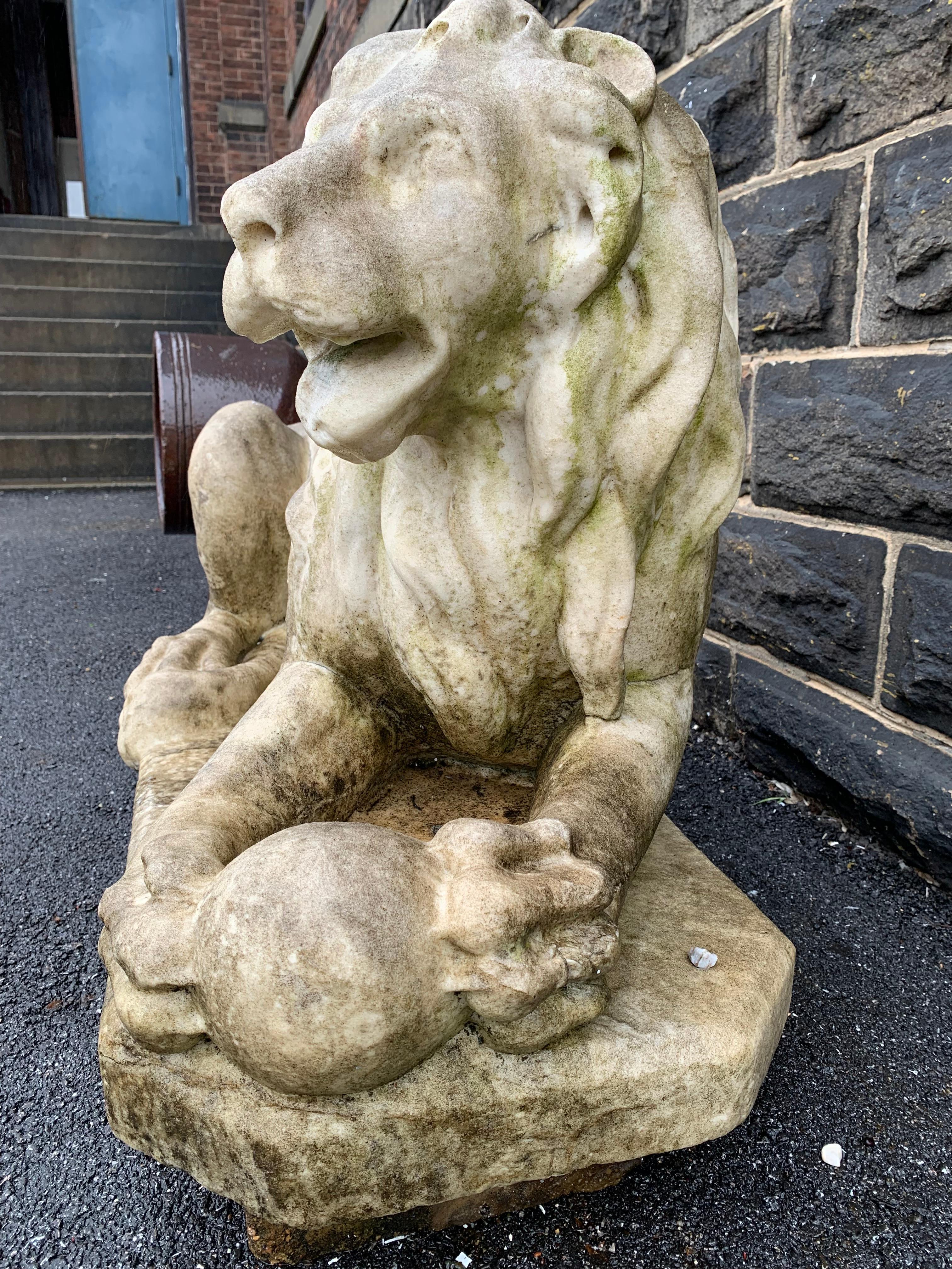 Pareja de Leones Estatuarios de Mármol en venta 1