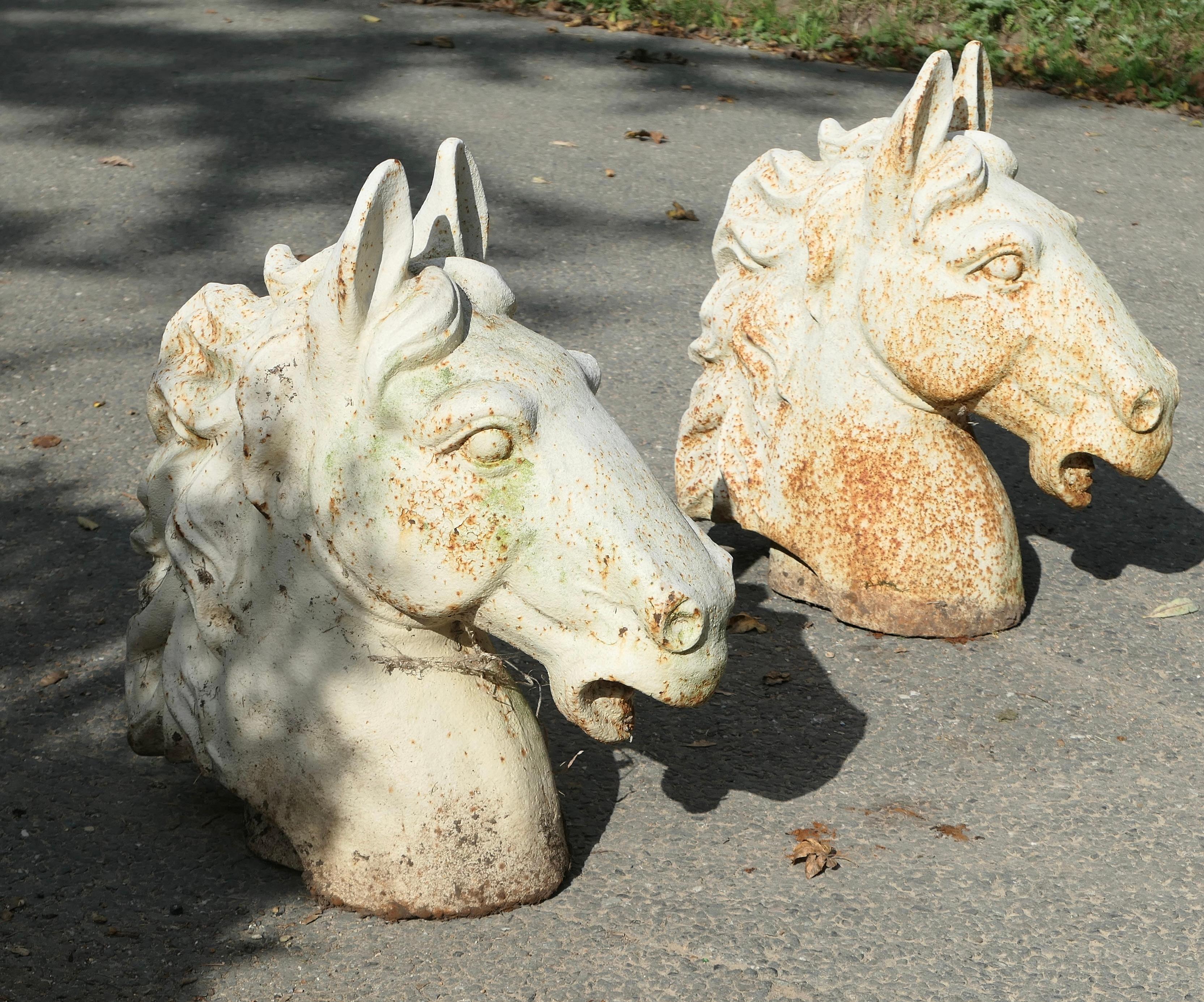 Coppia di terminali per cancelli con testa di cavallo in ghisa statuaria

Coppia di grandi teste di cavallo in ghisa dipinte, terminali per cancello
Si tratta di una superba coppia di terminali per cancelli, che sono tridimensionali e possono essere