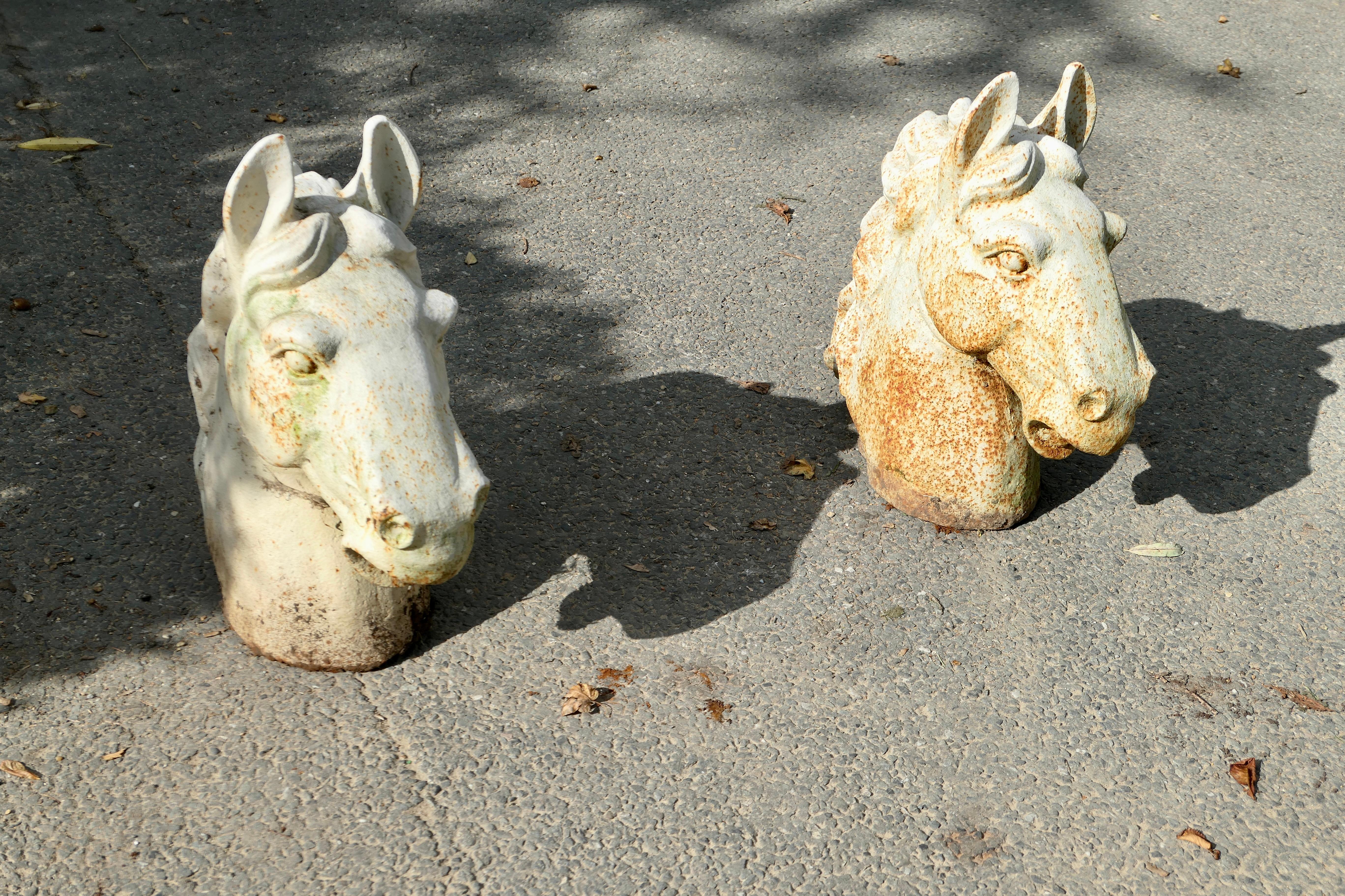 Arte popolare Coppia di terminali per cancelli con testa di cavallo in ghisa statuaria in vendita