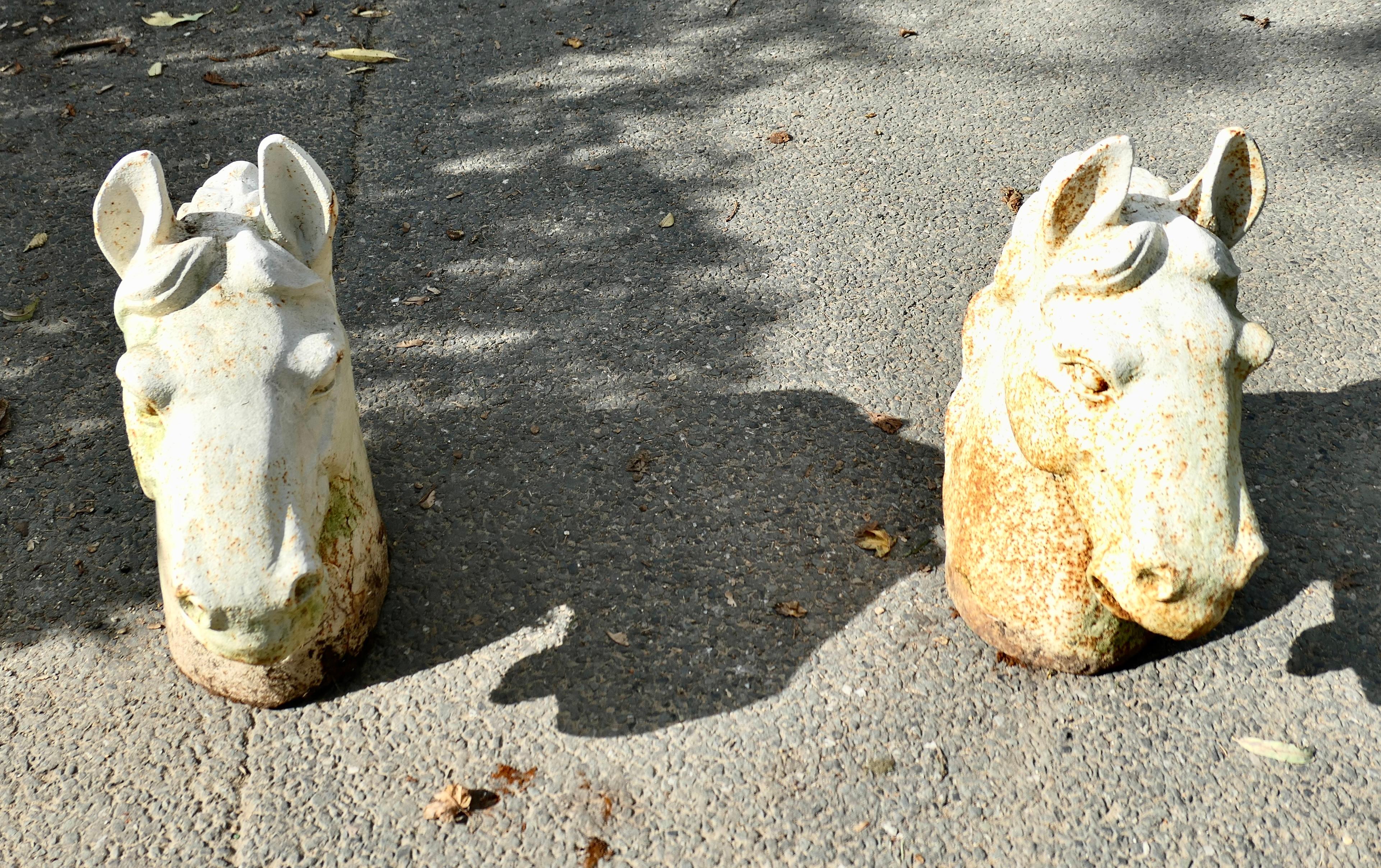 Coppia di terminali per cancelli con testa di cavallo in ghisa statuaria In condizioni buone in vendita a Godshill, Isle of Wight