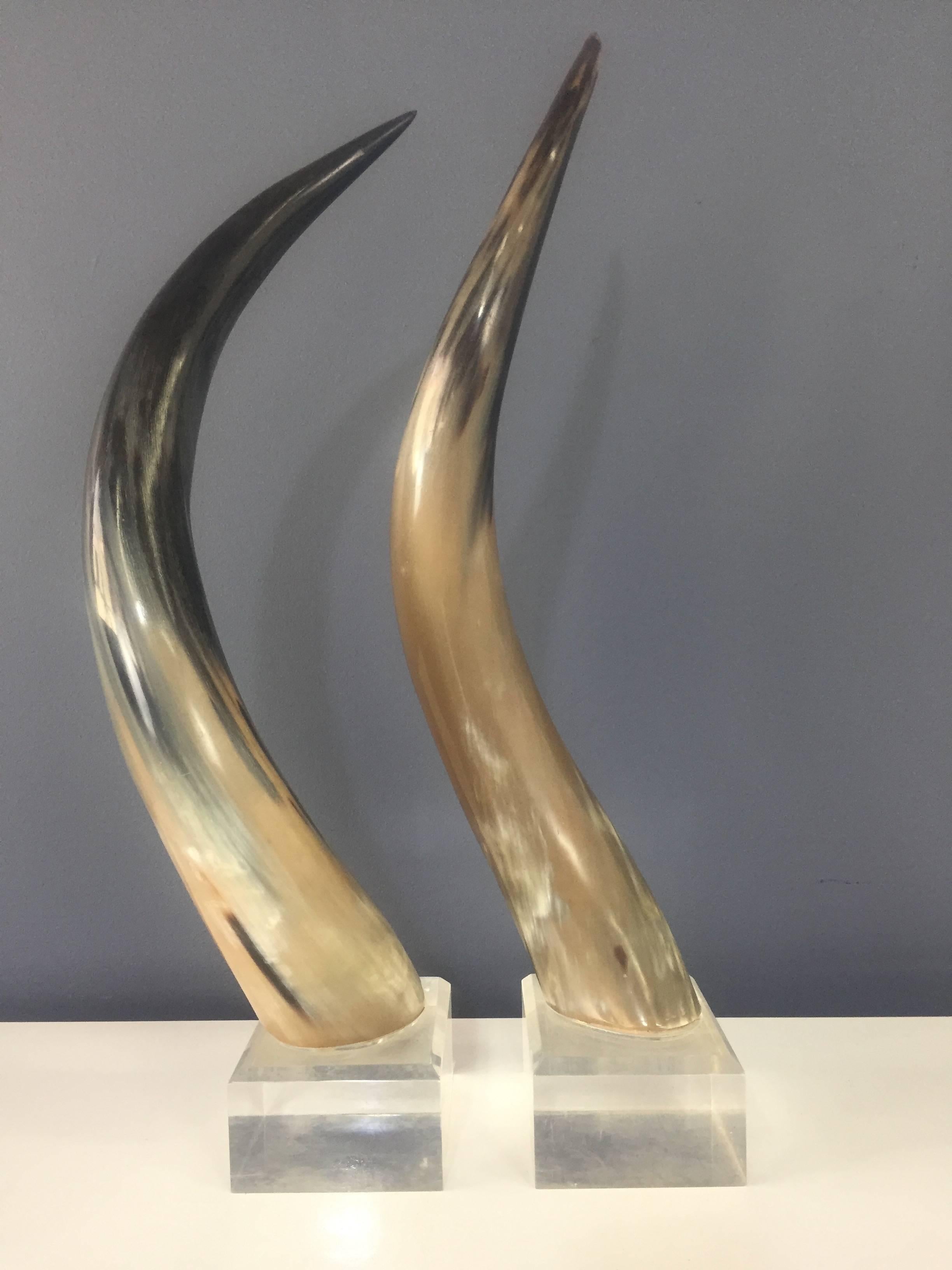 Pair of steer horns mounted on thick Lucite bases. These horns fit nicely with Karl Springer inspired designs.


Karl Springer, worked in the same period as other illustrious designers such as Milo Baughman, Paul Mccobb, Charles and Ray Eames, Paul