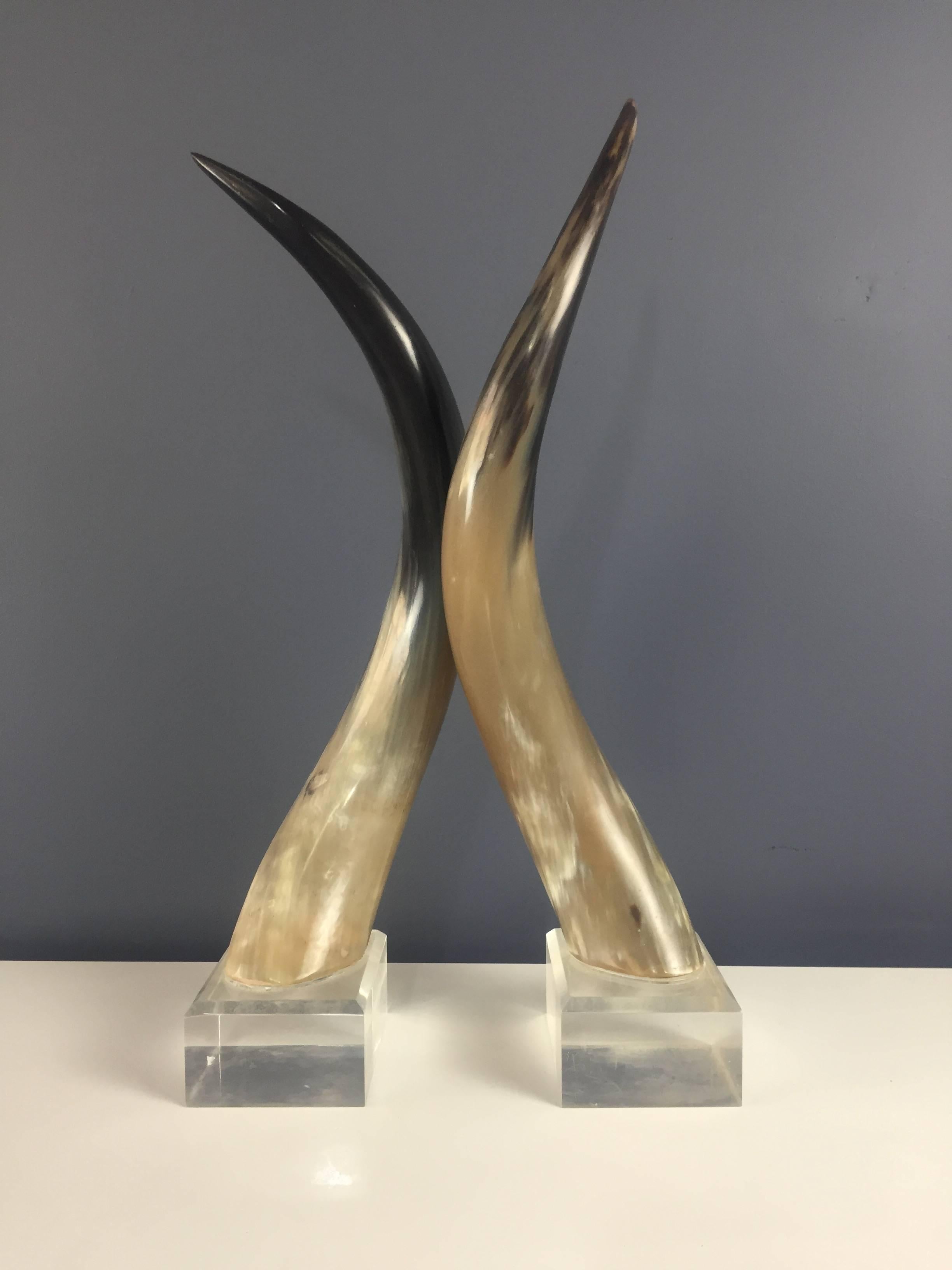 Mid-Century Modern Steer Horns Mounted on Lucite Bases a Pair in the Mid Century Style