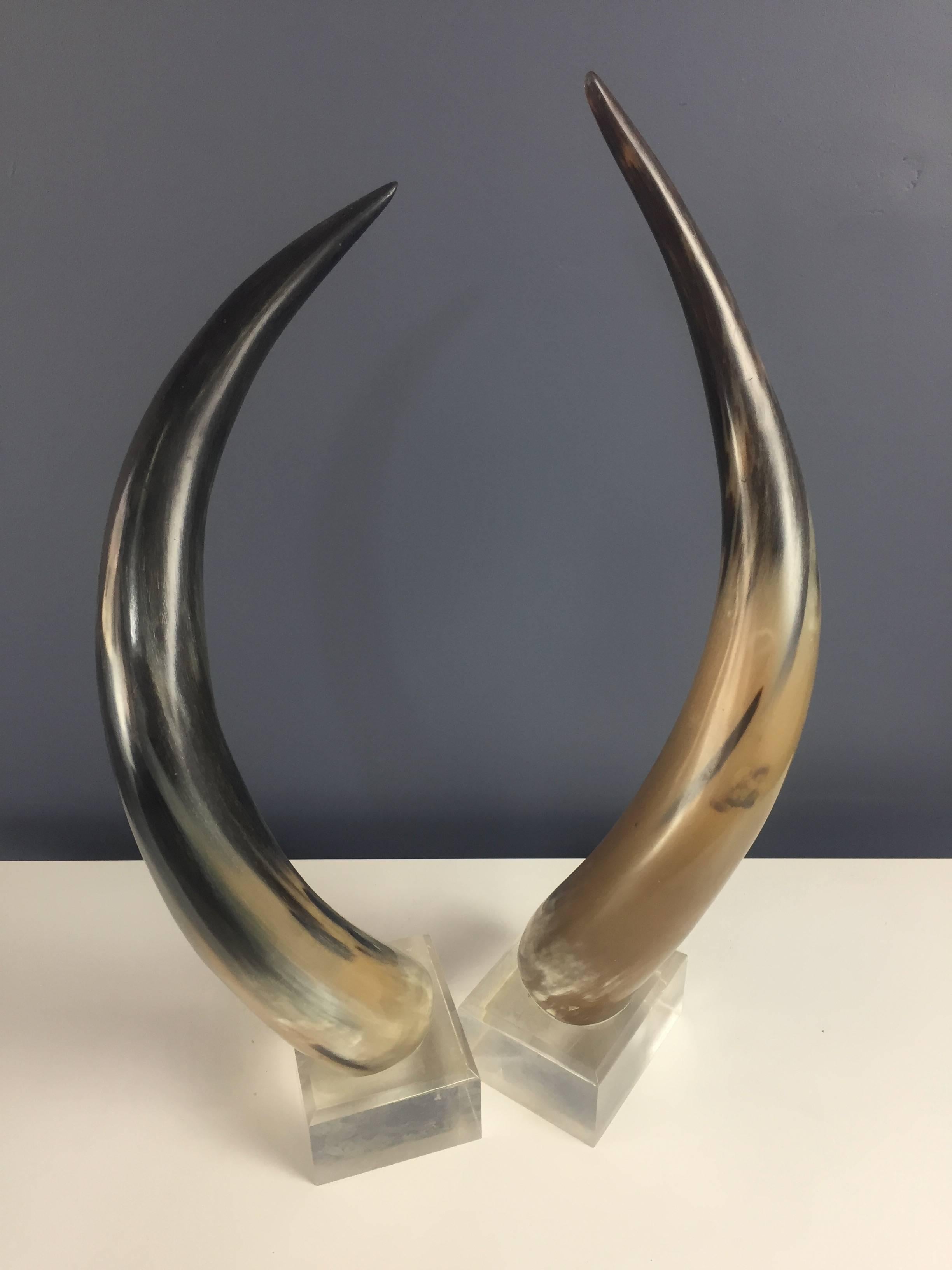 Steer Horns Mounted on Lucite Bases a Pair in the Mid Century Style In Excellent Condition In Philadelphia, PA