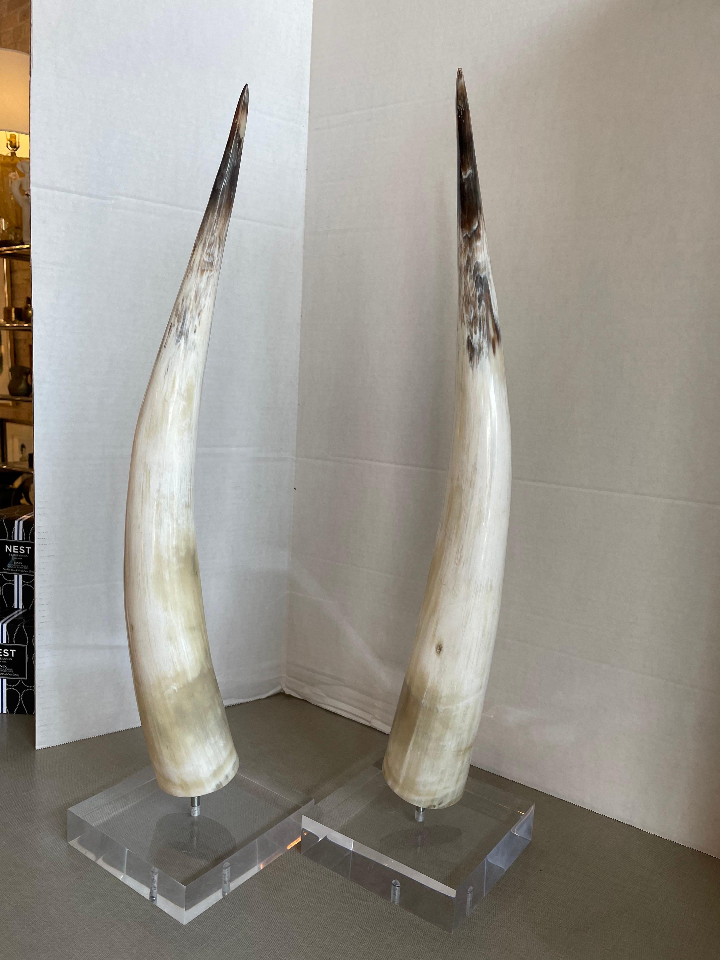 Pair of Steer Horns on Custom Lucite Base In Good Condition In Chicago, IL