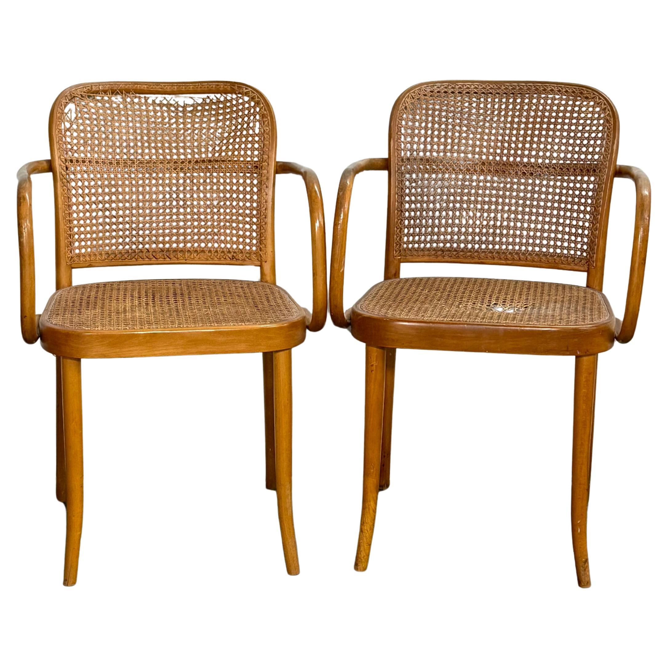 Pair of Stendig Prague Armchairs by Josef Hoffman For Sale
