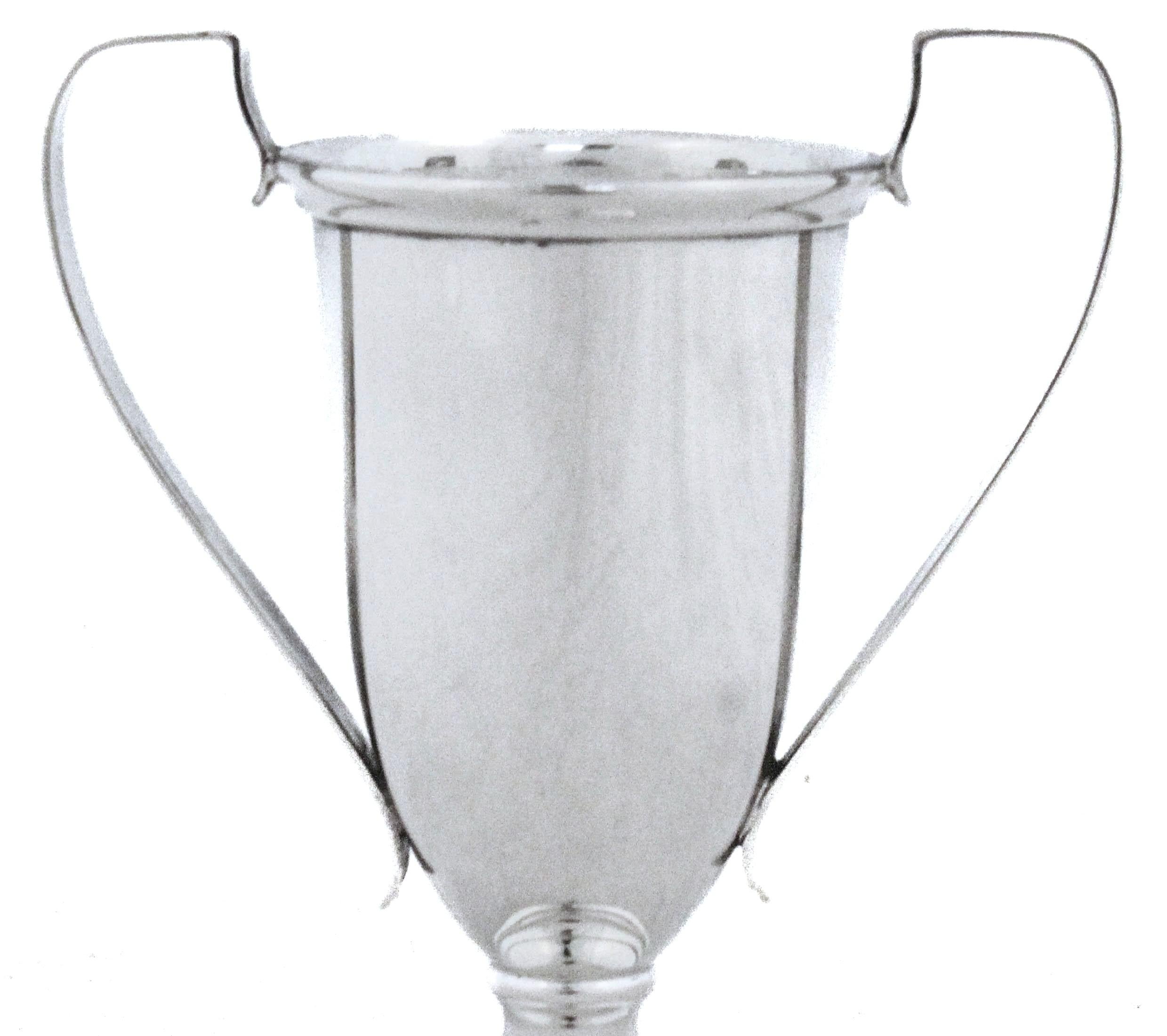 Metà XX secolo Coppia di vasi da trofeo in argento sterling in vendita