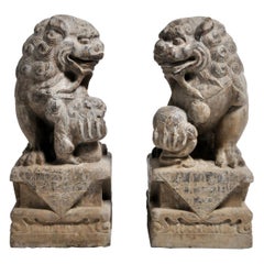 Pair of Stone Carved Fu Dog Pedestal