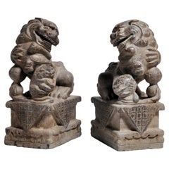 Pair of Stone Carved Fu Dogs on Pedestal