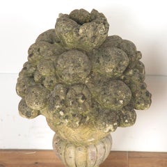Pair of Stone Fruits