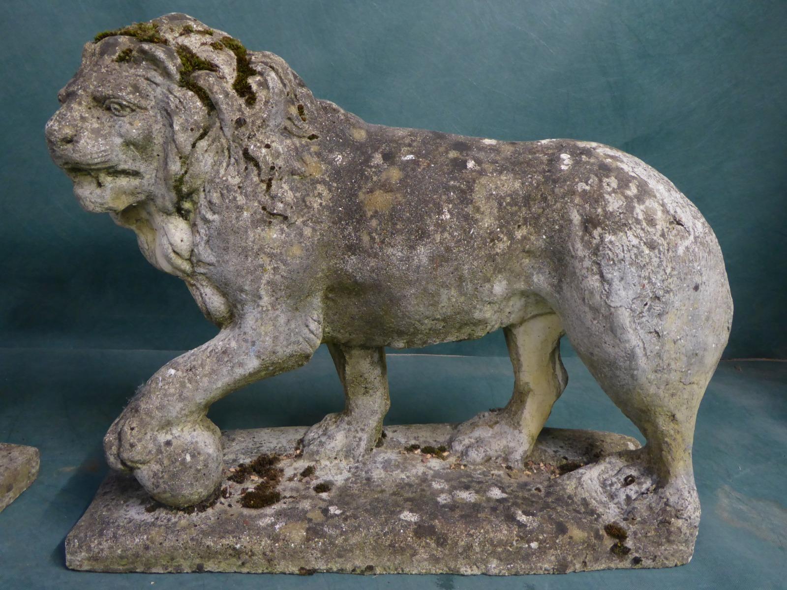 aA most attractive pair of composition 20th century stone lions beautifully weathered and with antique patina and of good size 70 cm.