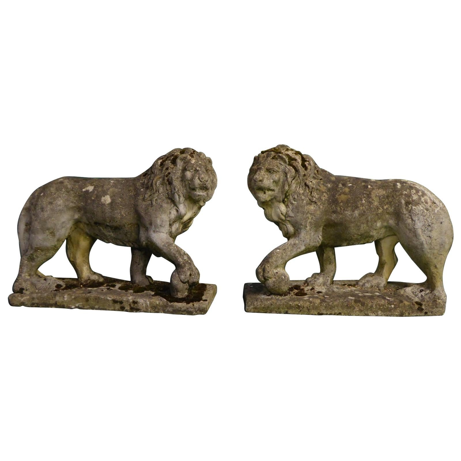 Pair of Stone Garden Lions, circa 1930 For Sale