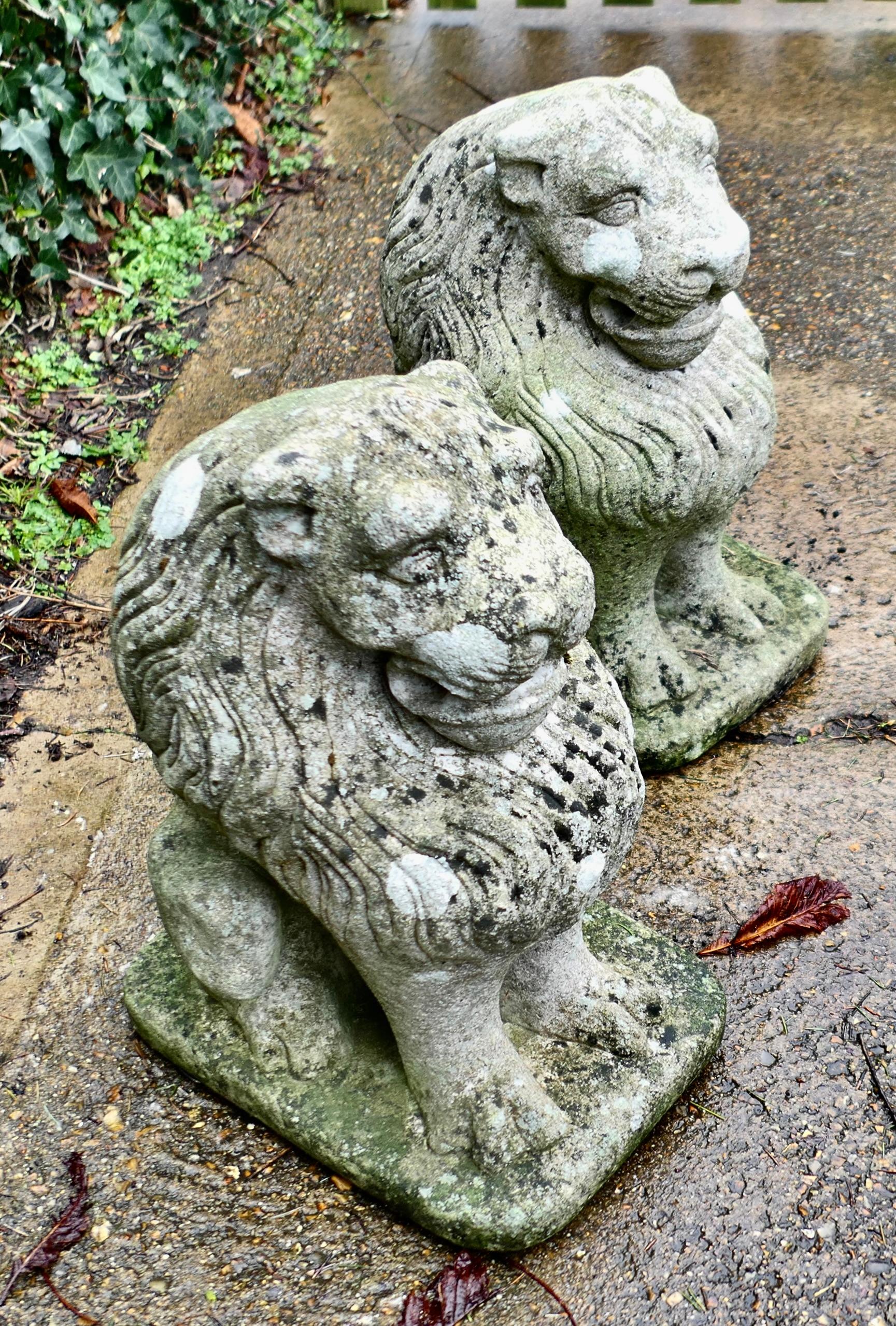 Metà XX secolo Coppia di leoni guardiani in pietra Si tratta di due statue di leoni, sottoposte alle intemperie. in vendita