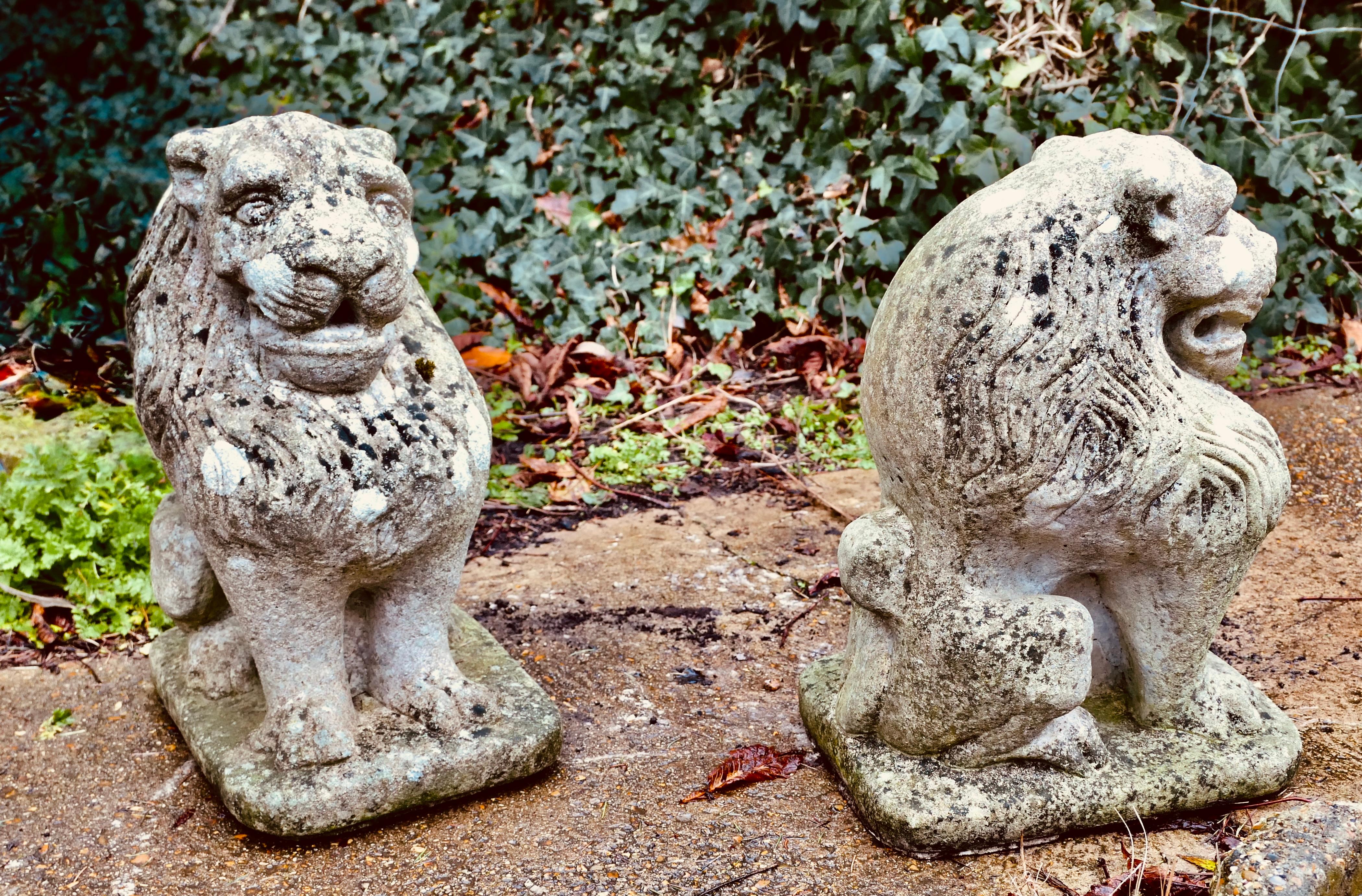 Coppia di leoni guardiani in pietra Si tratta di due statue di leoni, sottoposte alle intemperie. in vendita 2