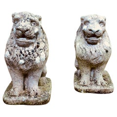 Pair of Stone Lion Guardians These are weathered Statues of 2 Lions