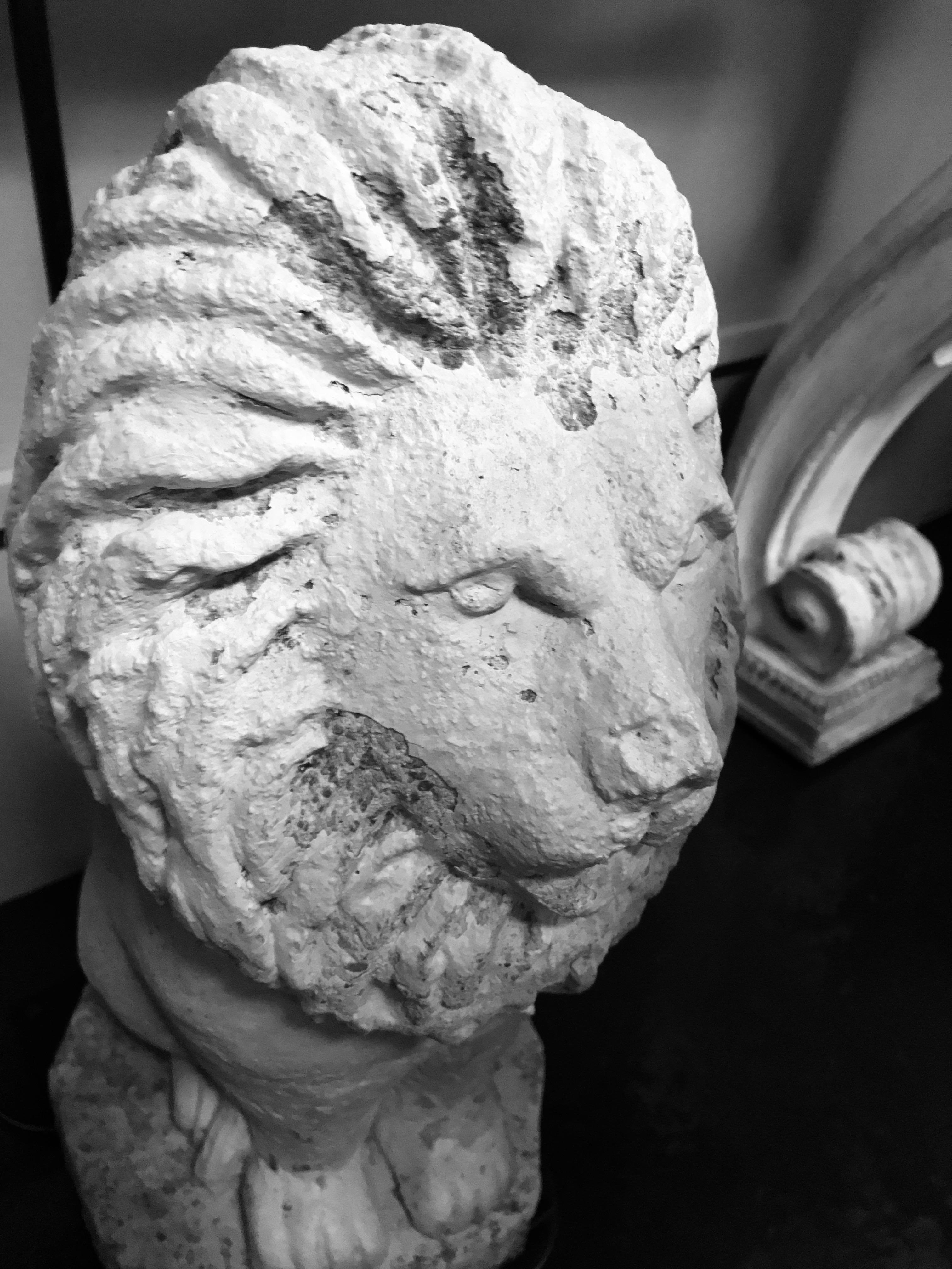 A pair of reconstituted stone lions as lamps with bronze fittings. Note these are very heavy.
  