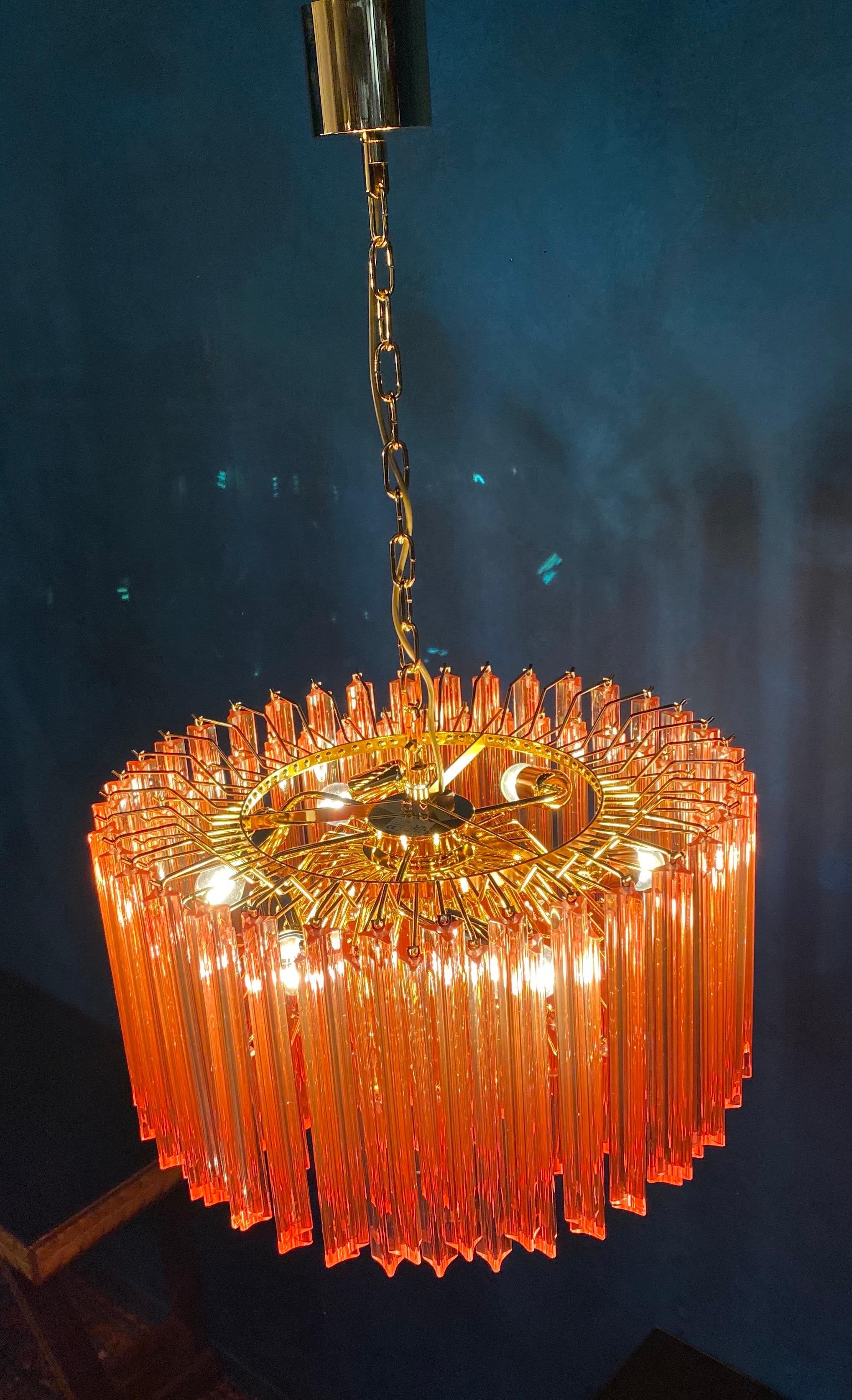 Pair of Stunning Coral Triedi Crystal Prism Chandelier For Sale 7