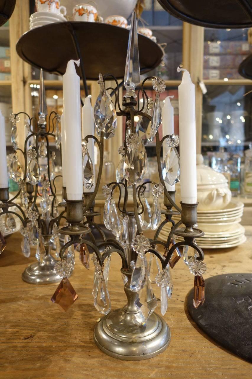 Absolutely wonderful and beautiful pair of large French girandoles or candelabra. A quality of such one rarely sees. The bronze has a deep patina. Each candlestick holds four lights, and exquisite and charming pale lilac and clear long and round