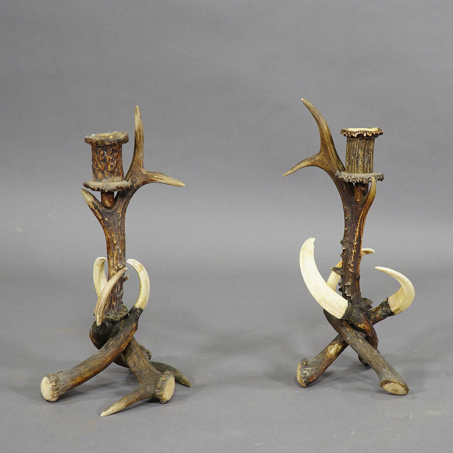 Rustic Pair of Stylish Cabin Decor Antler Candle Holders, Germany, ca. 1900