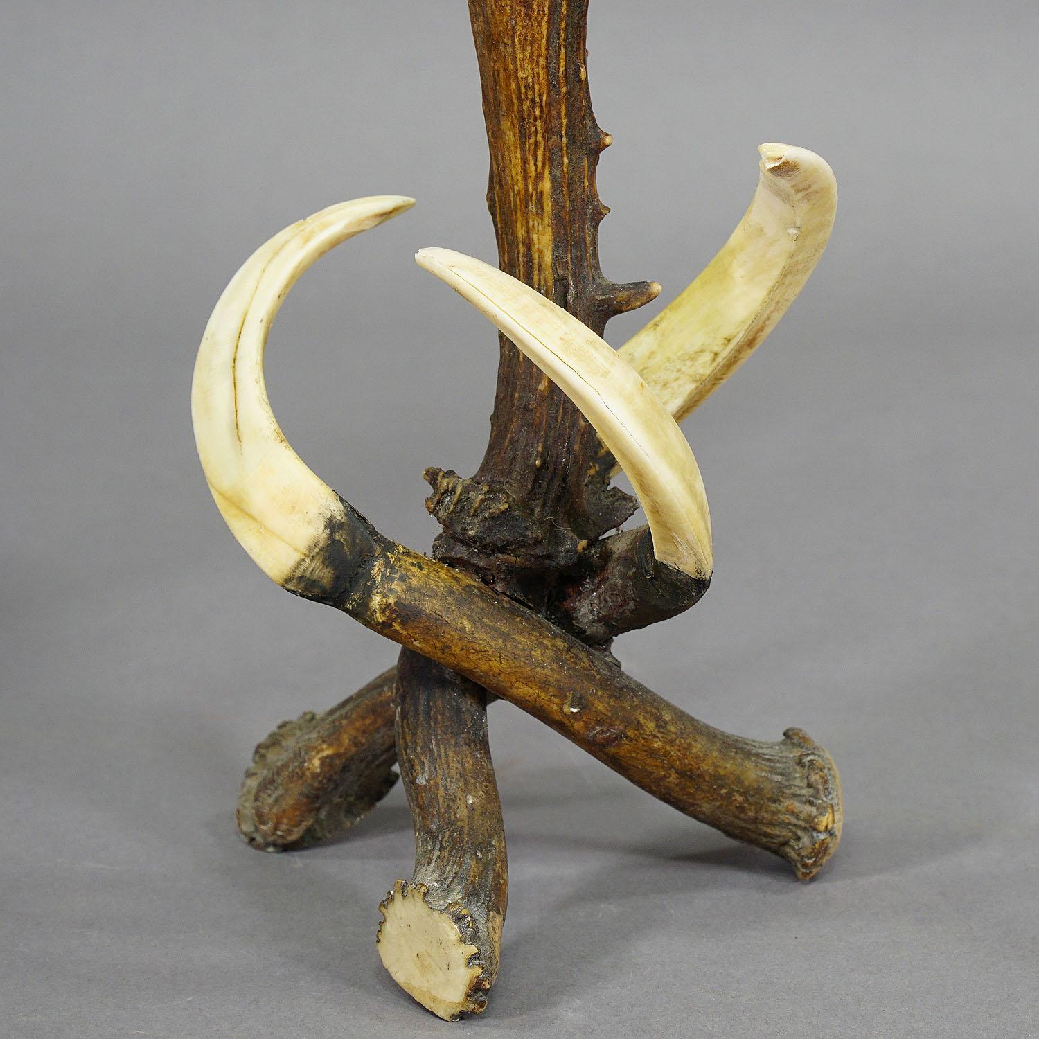 Pair of Stylish Cabin Decor Antler Candle Holders, Germany, ca. 1900 3
