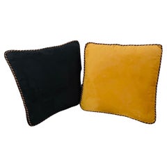 Paire de coussins de canapé en daim avec corde