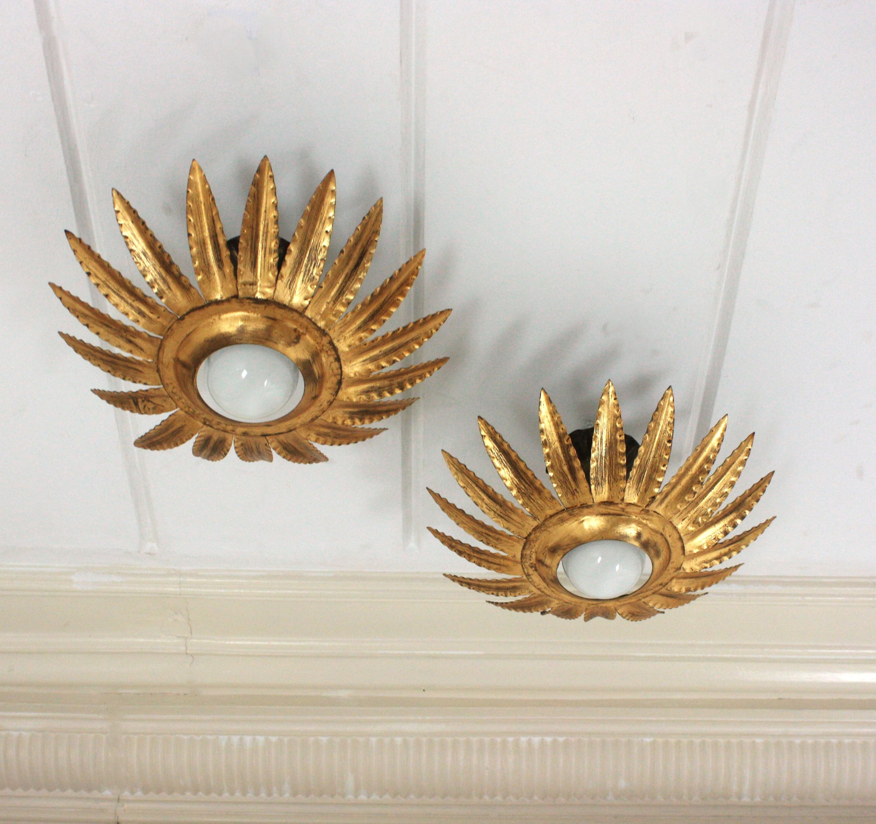Paire de plafonniers, d'appliques murales ou de suspensions en fer forgé doré en forme de soleil ou de fleur, Espagne, années 1960.
Ils ont des cadres en forme de soleil ou de fleur qui entourent un bulbe central exposé. Finition en dorure à la