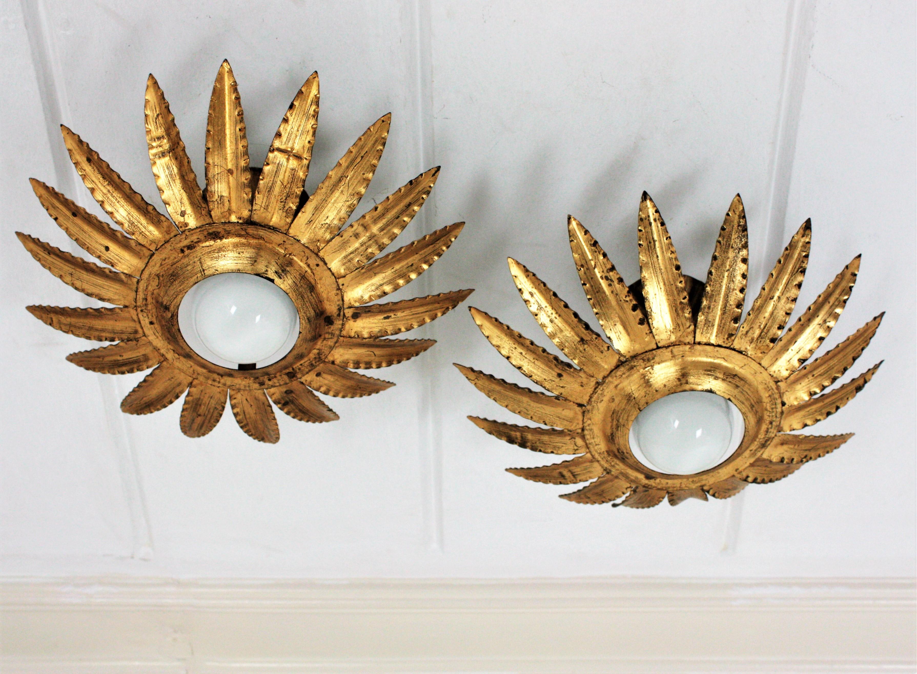 Spanish Pair of Sunburst Flower Light Fixtures or Pendants in Gilt Metal For Sale