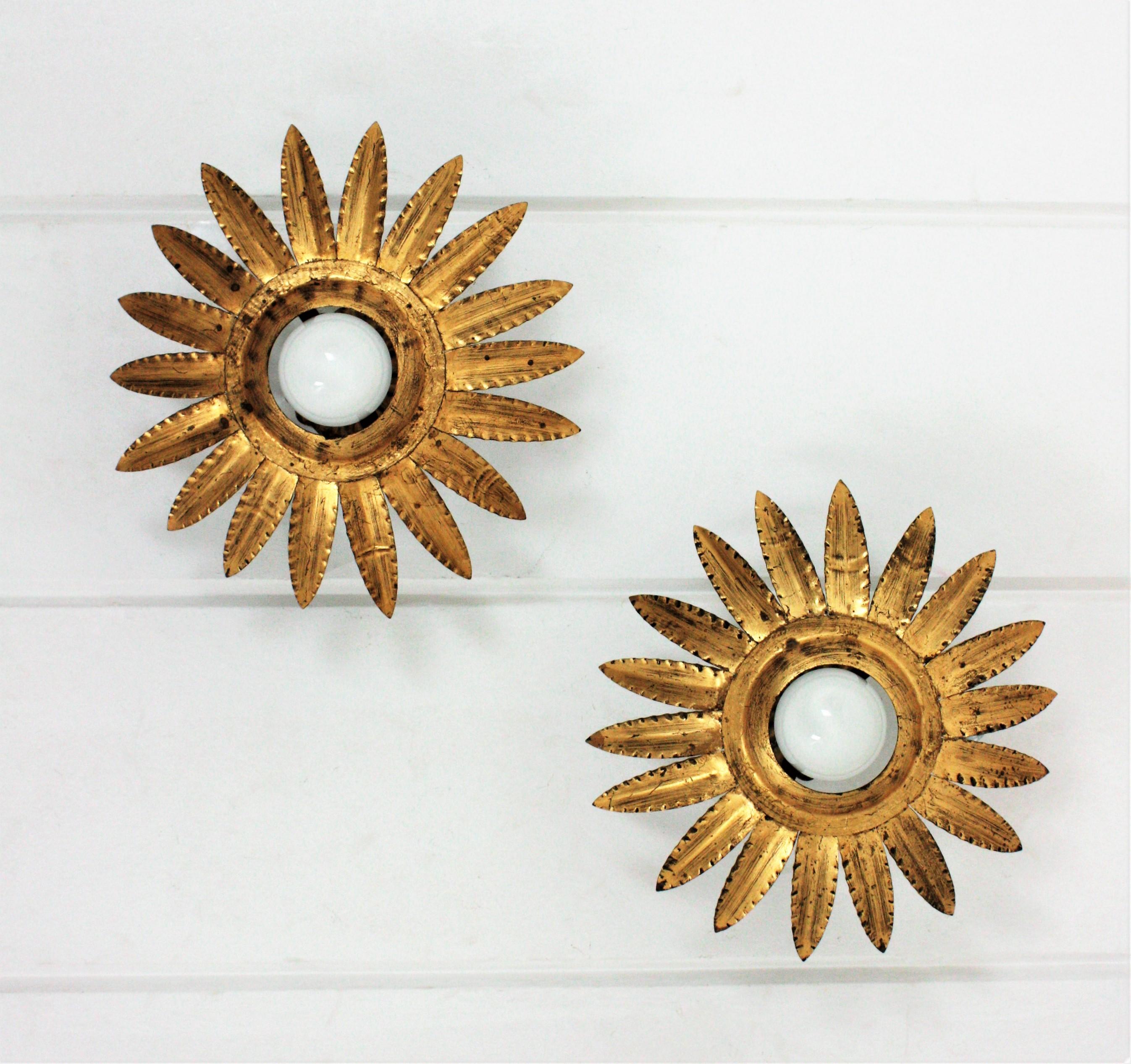 Pair of Sunburst Flower Light Fixtures or Pendants in Gilt Metal For Sale 2