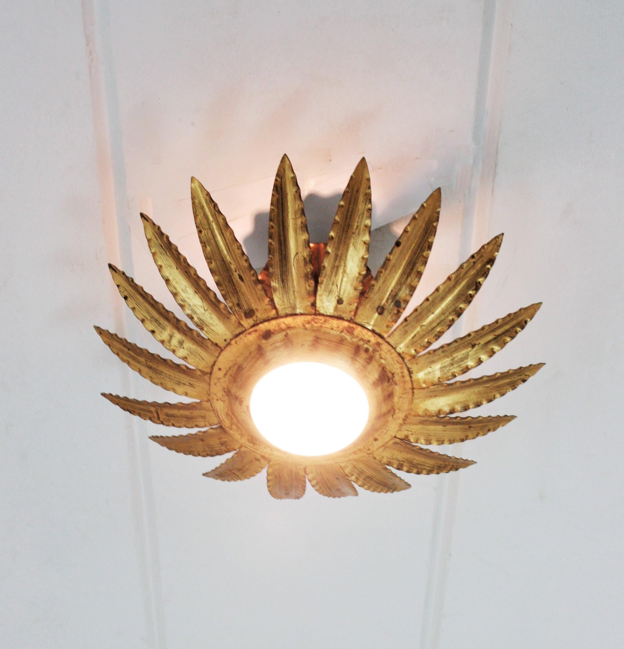 Pair of Sunburst Flower Light Fixtures or Pendants in Gilt Metal For Sale 3