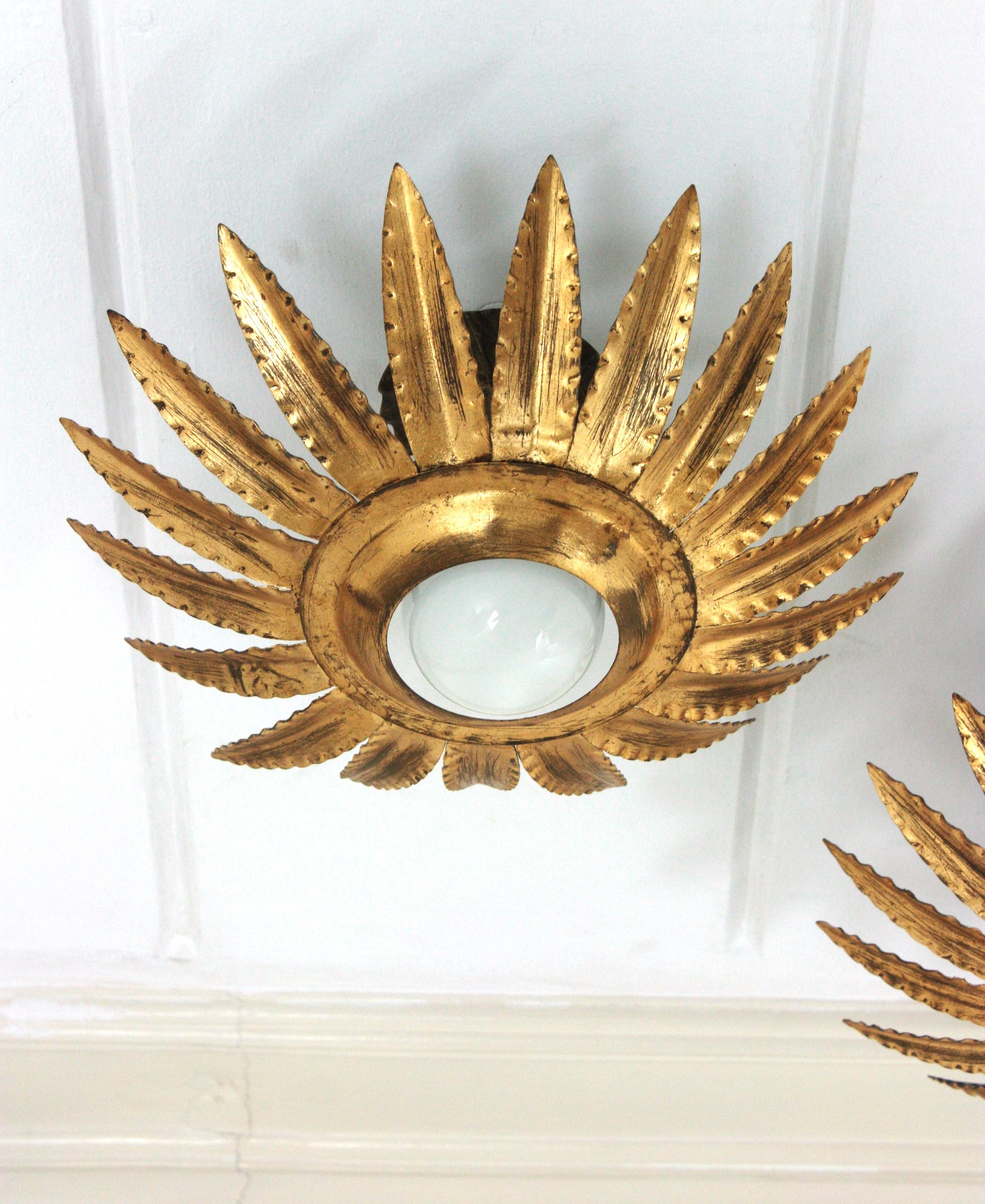Paire de luminaires ou pendentifs à fleurs Sunburst en métal doré en vente 1
