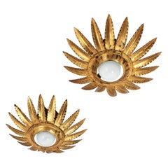 Pair of Sunburst Flower Light Fixtures or Pendants in Gilt Metal