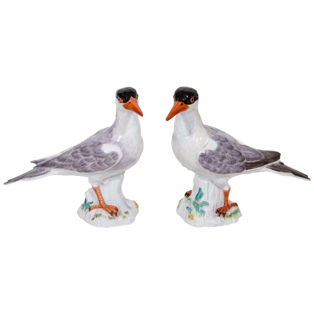 Pair of Superb Antique Meissen German Porcelain Birds For Sale