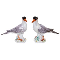 Pair of Superb Antique Meissen German Porcelain Birds