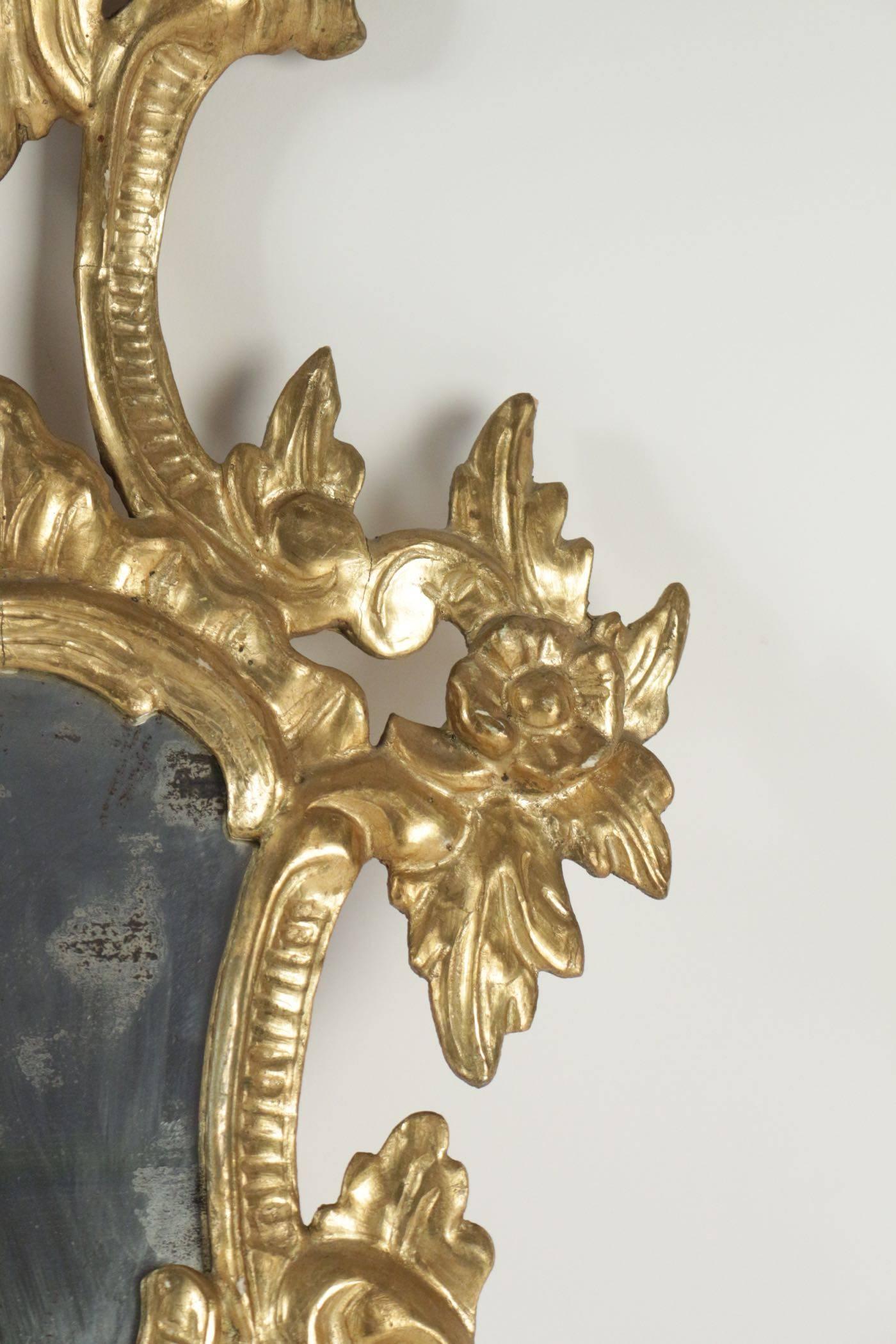 Late 19th Century Pair of Superior Quality Gold Gilt Wooden Hand Carved Mirrors Napoleon III