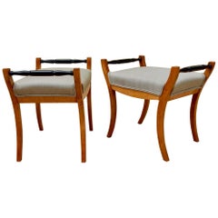 Pair of Swedish Biedermeier Revival Footstools in Golden Birch, circa 1910