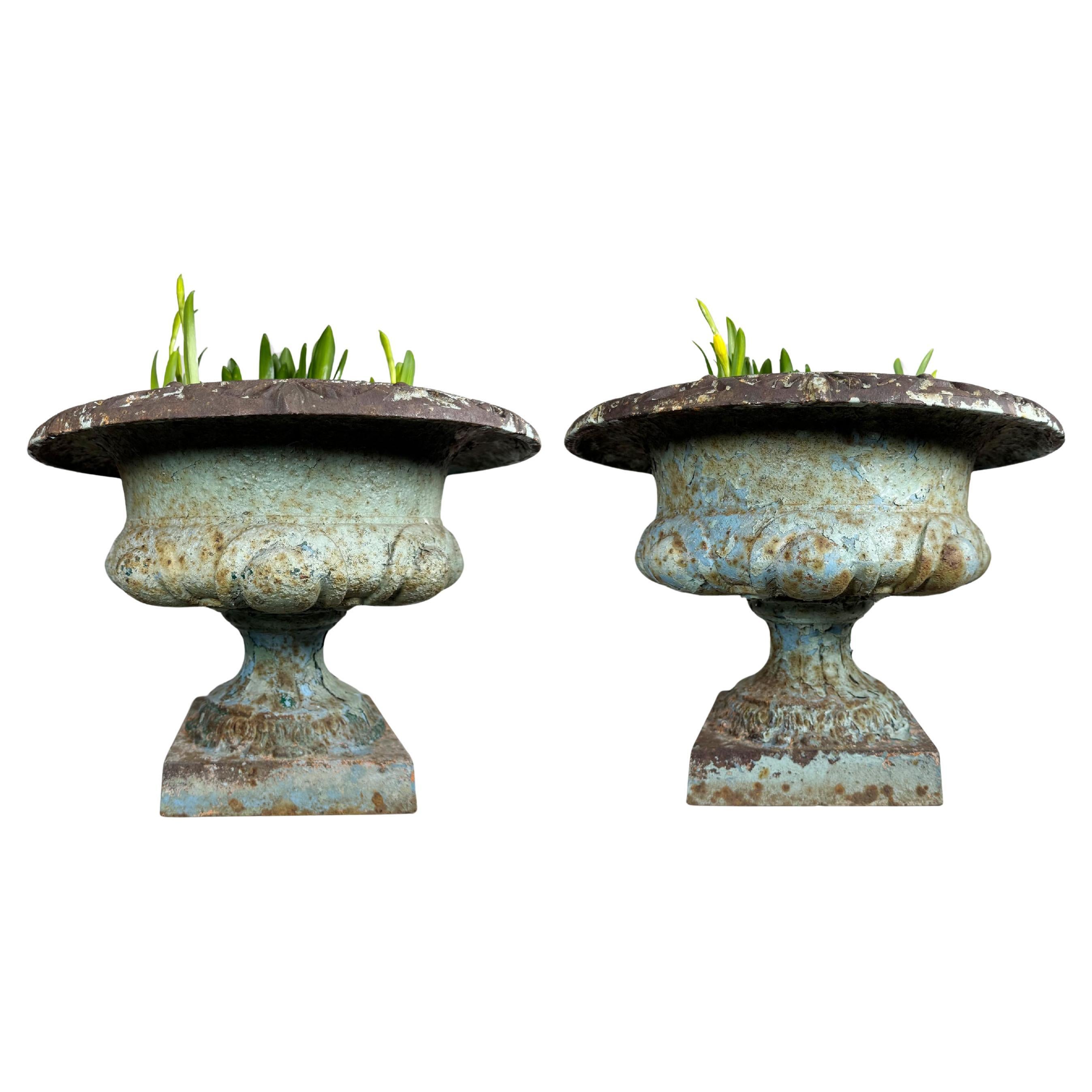 Coppia di urne svedesi in ghisa blu Tazza del 1820 circa in vendita