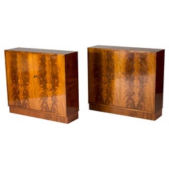 Retro Pair of Swedish Midcentury Mahogany Cabinets, 1950s