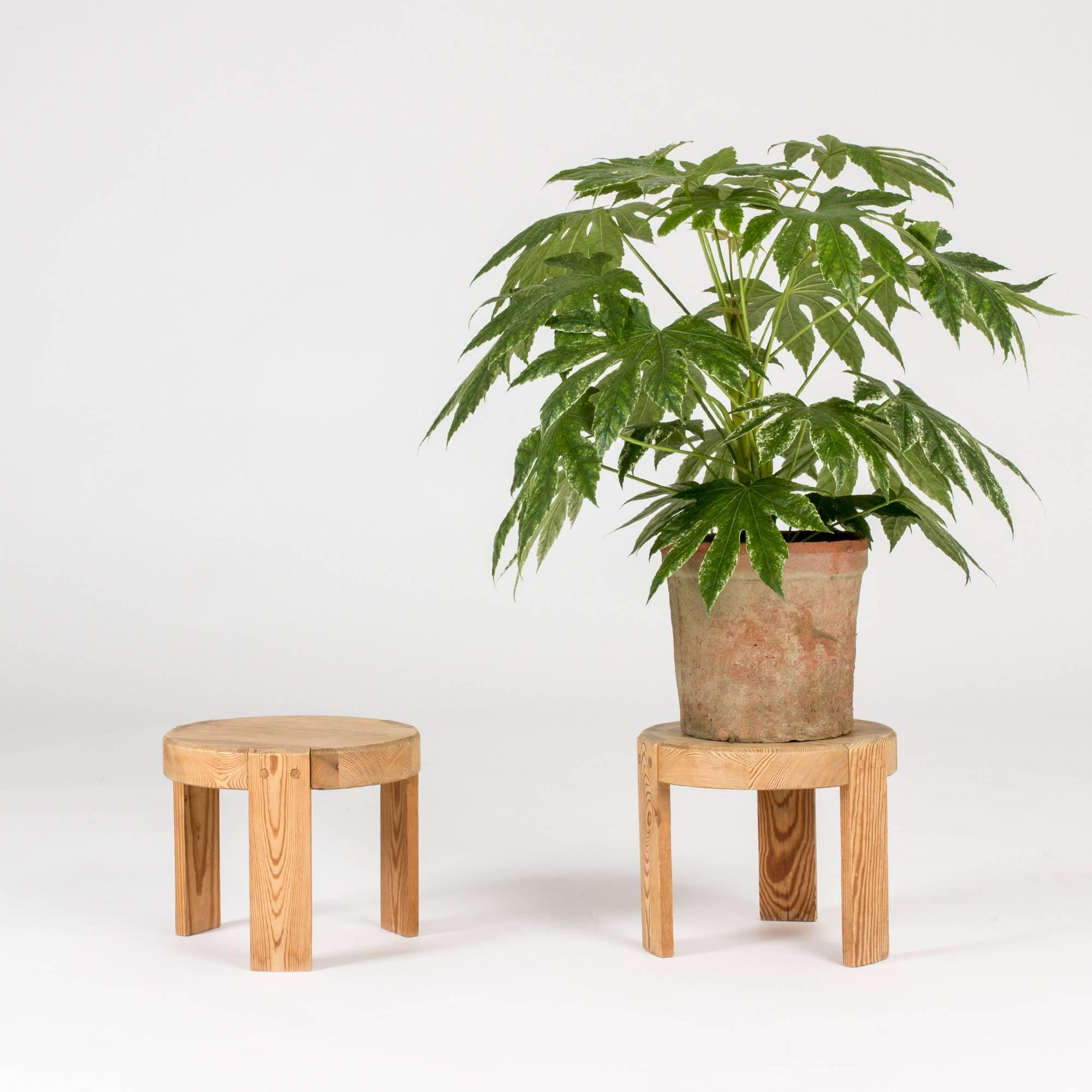 Pair of Swedish Miniature Pine Stools 2