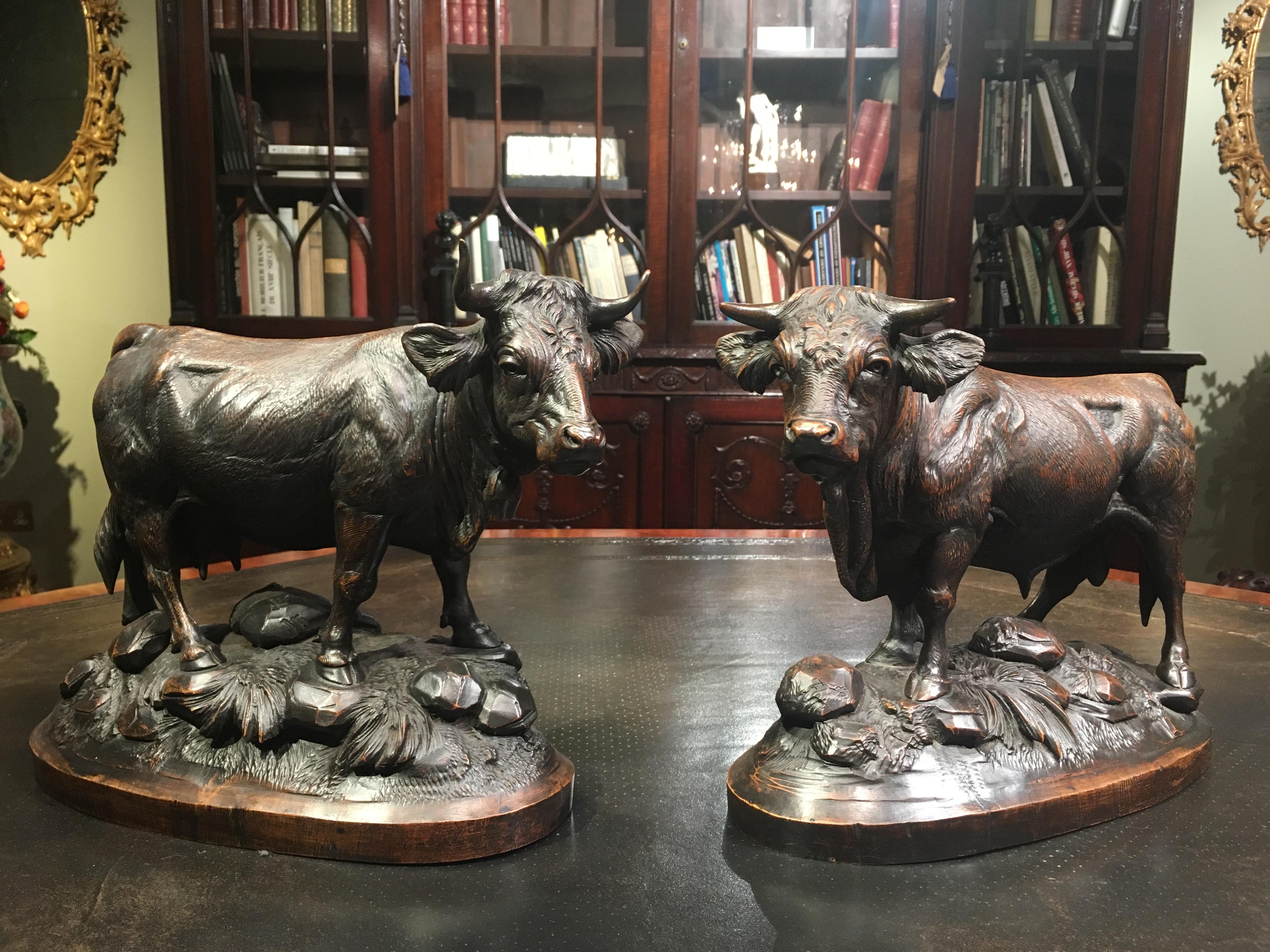 Black Forest Pair of Swiss 19th Century Carved Wooden Cattle For Sale