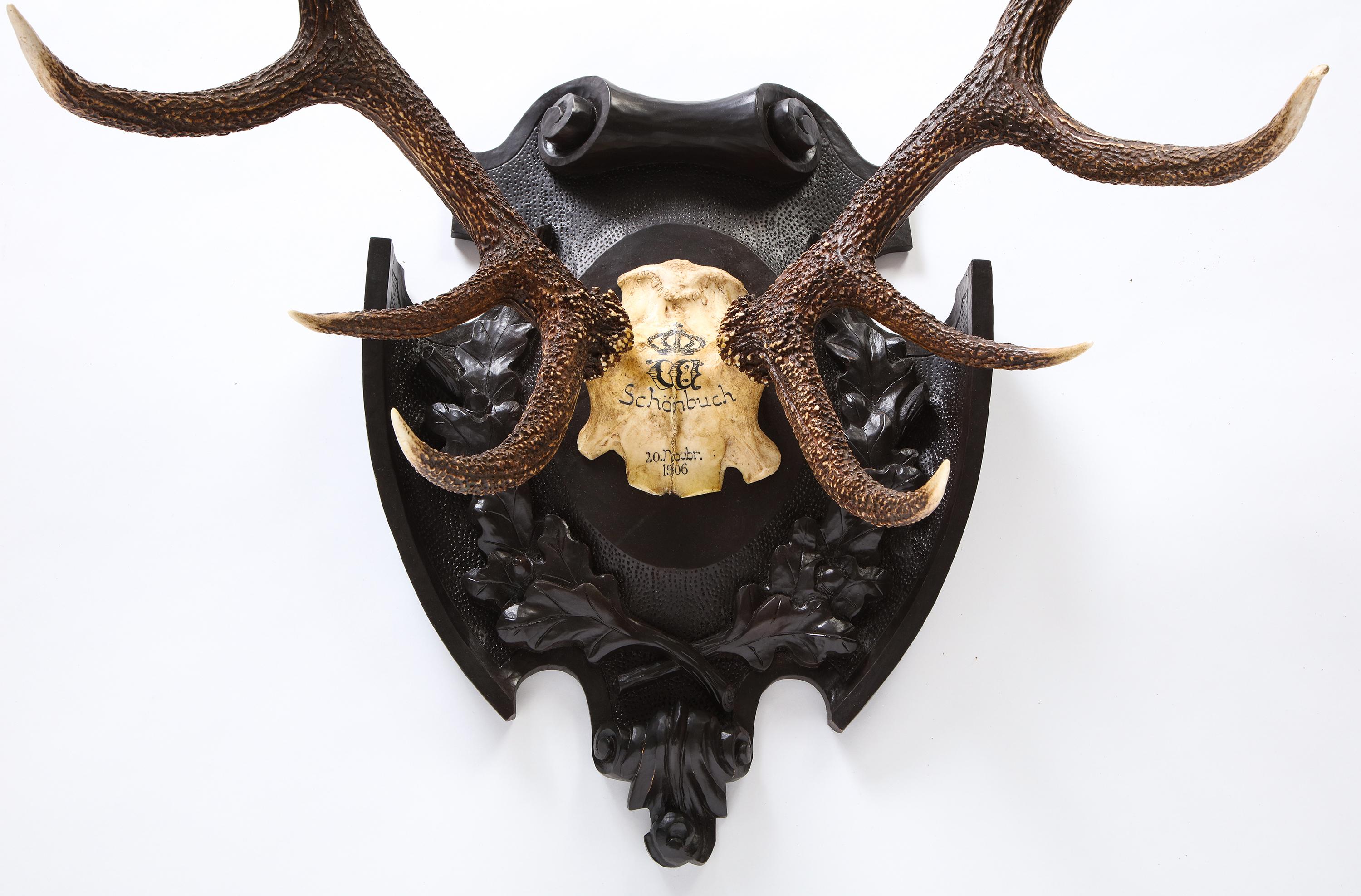 Pair of Swiss 'Black Forest' Antler Carved Trophy Mounts, Dated 1906 and 1906 For Sale 6