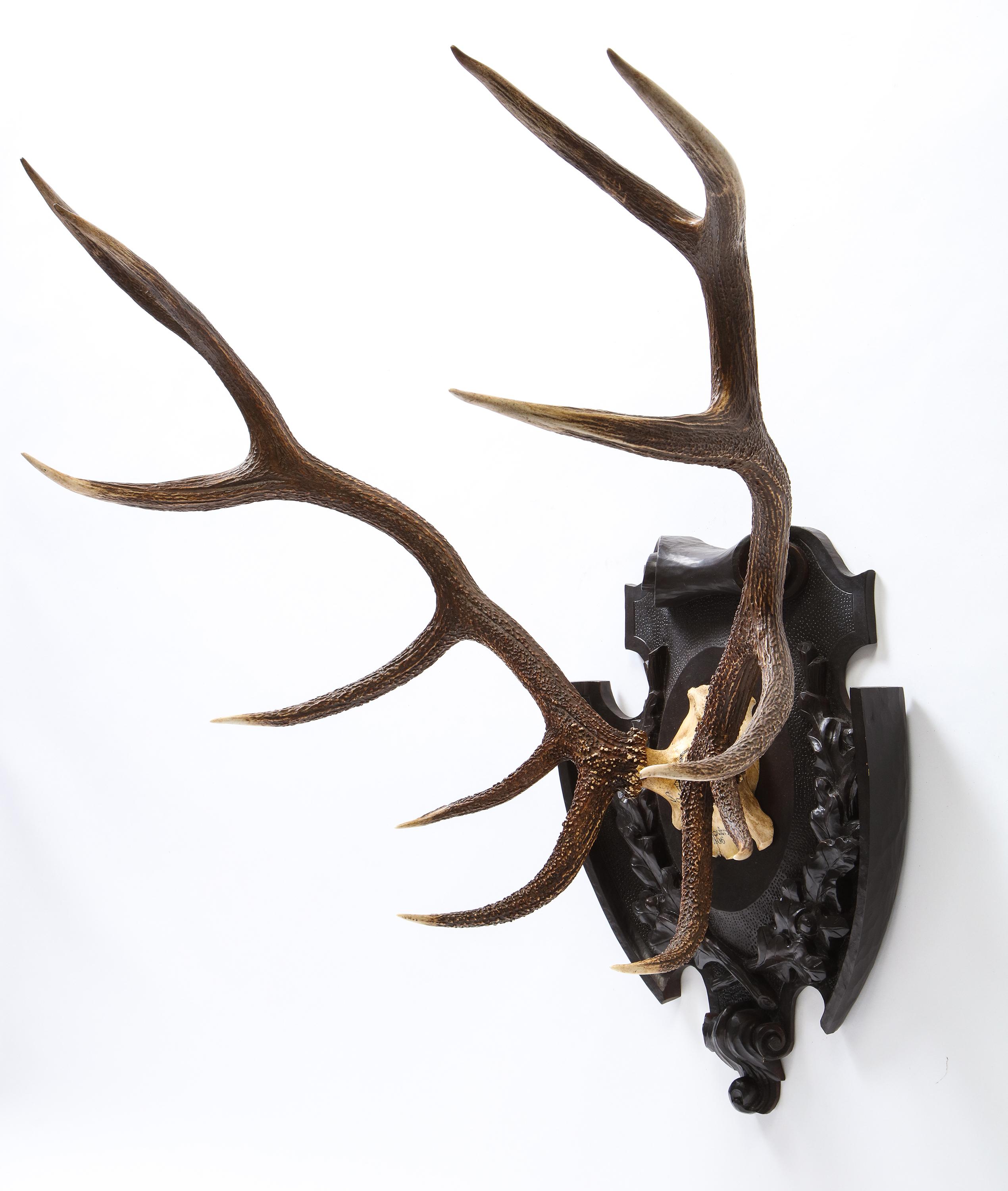Pair of Swiss 'Black Forest' Antler Carved Trophy Mounts, Dated 1906 and 1906 In Good Condition For Sale In New York, NY