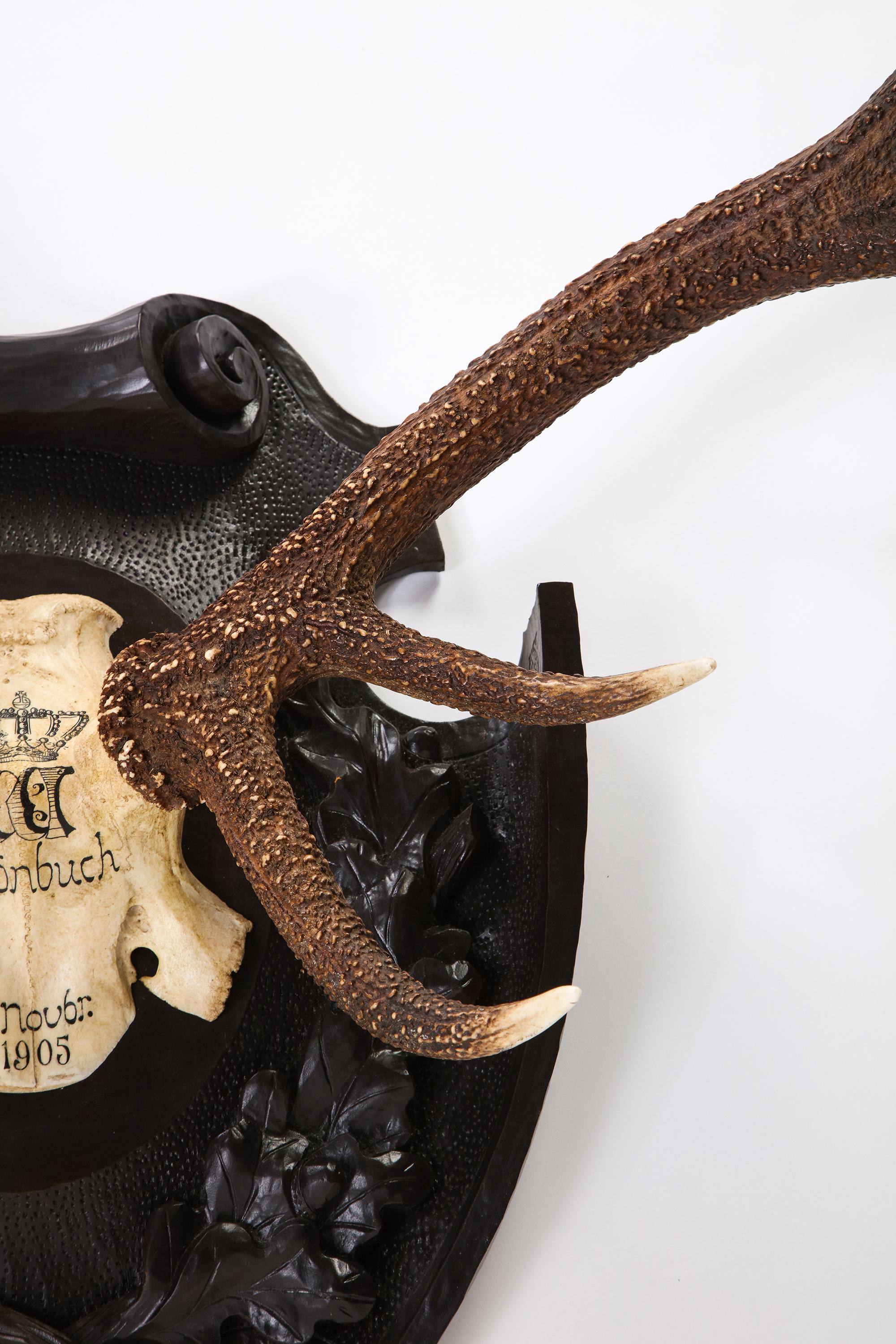 Pair of Swiss 'Black Forest' Antler Carved Trophy Mounts, Dated 1906 and 1906 For Sale 9